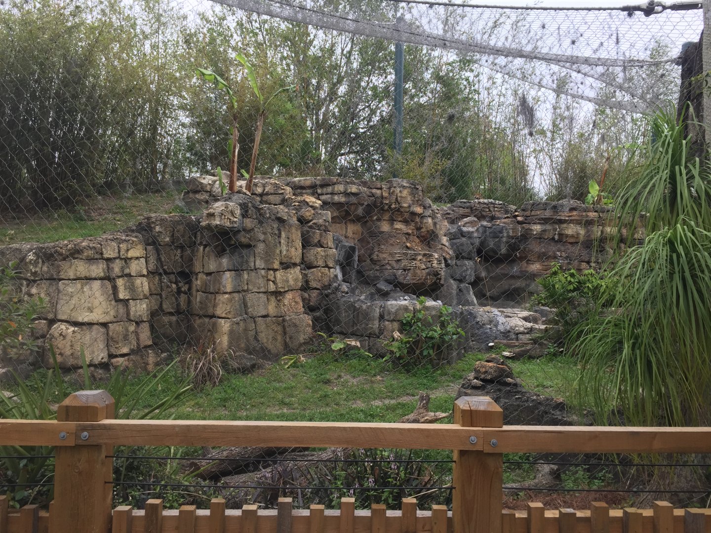 Range of the Jaguar- Jaguar