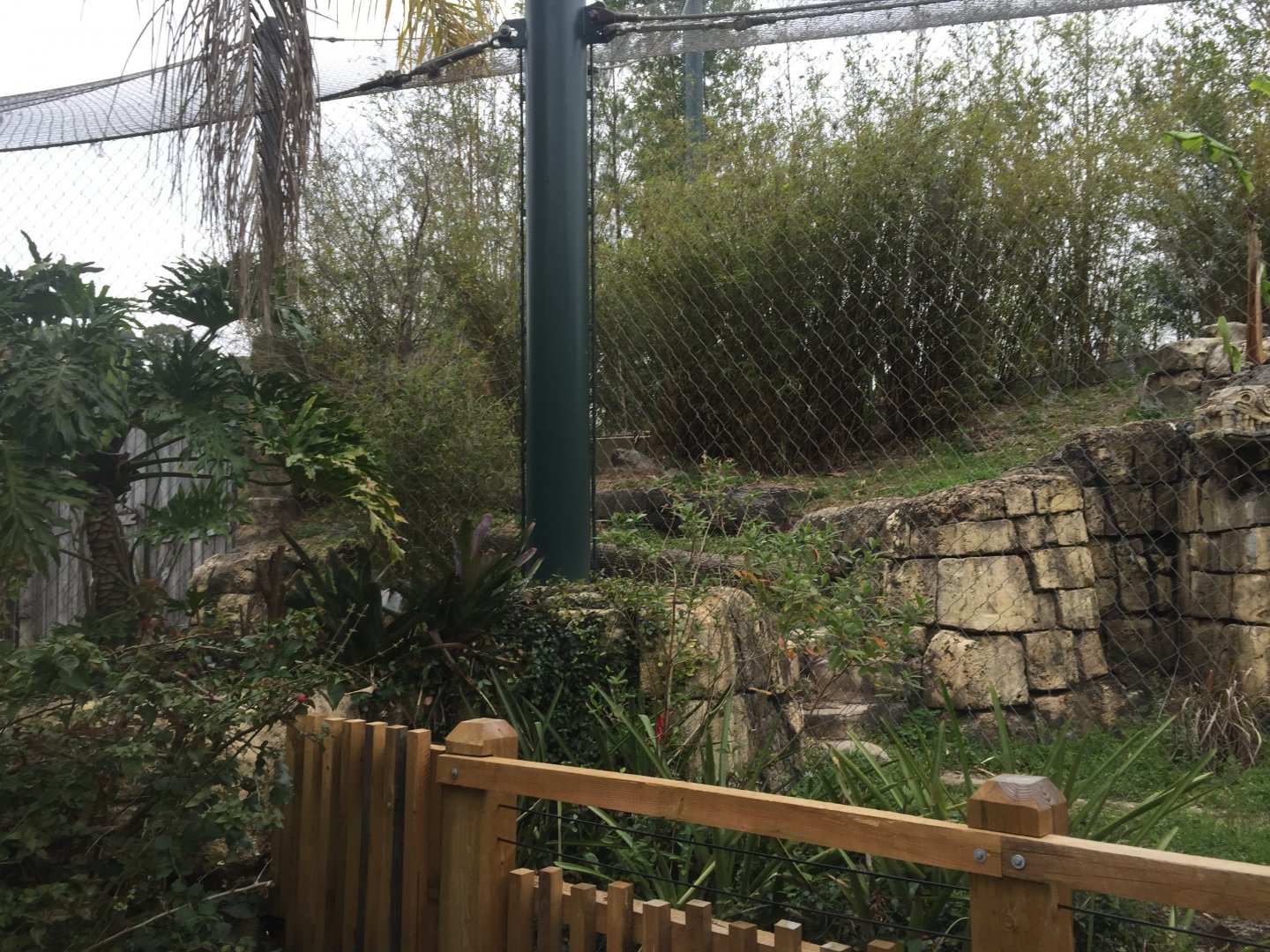 Range of the Jaguar- Jaguar