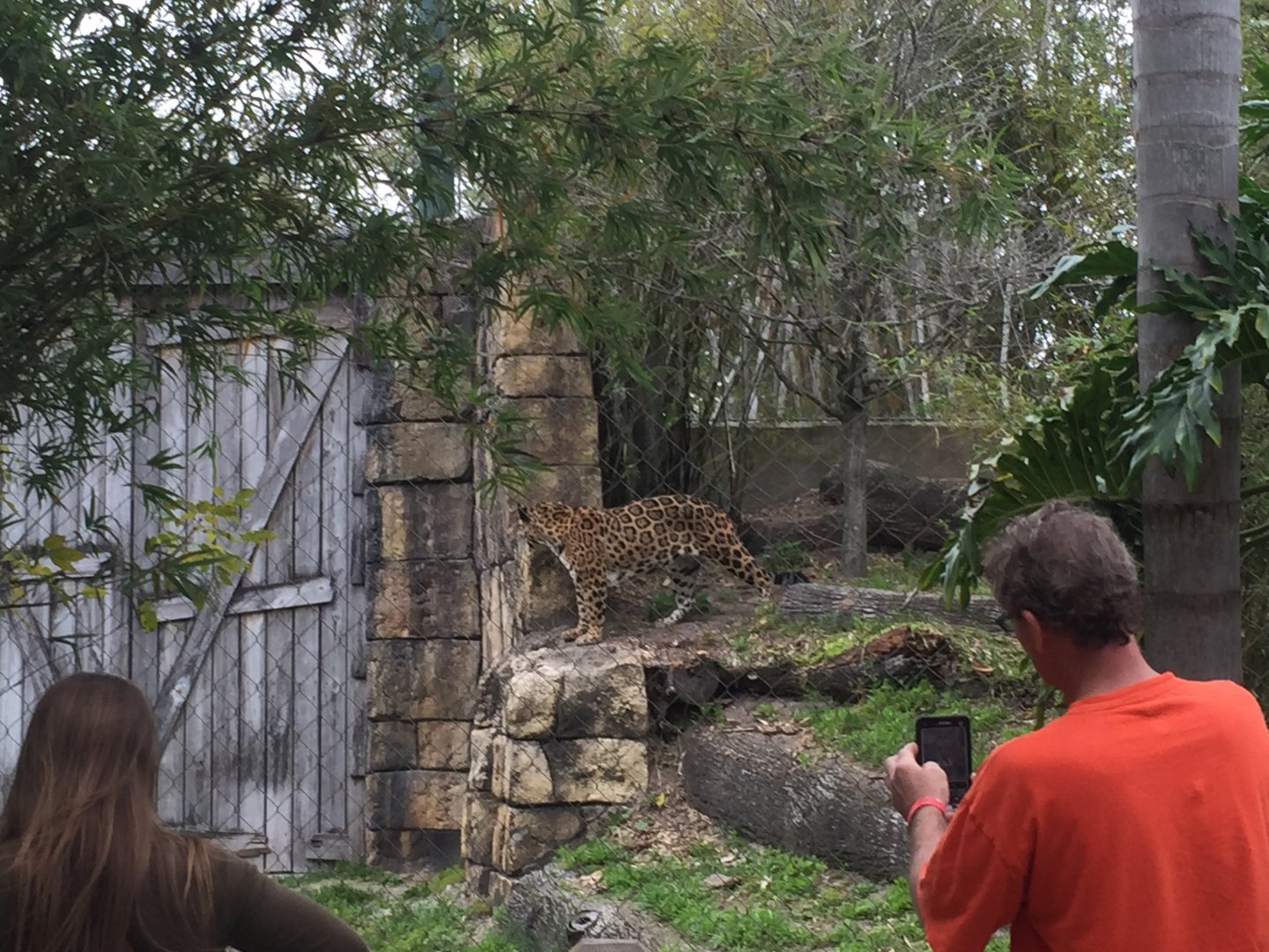 Range of the Jaguar- Jaguar