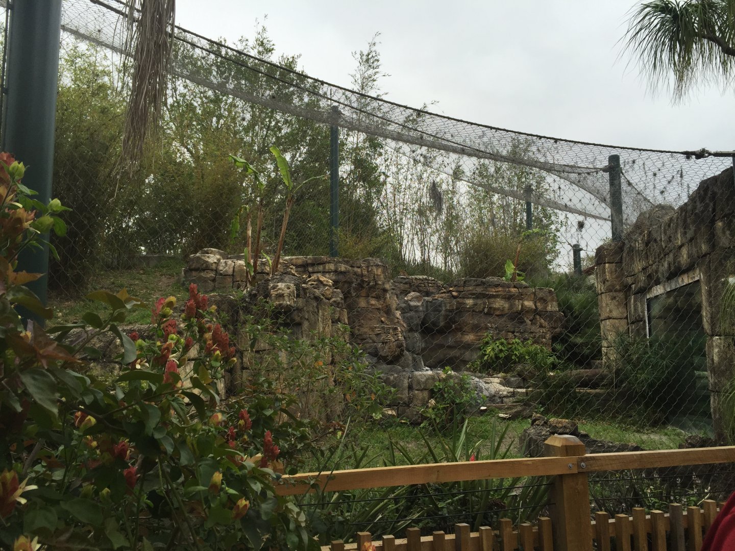 Range of the Jaguar- Jaguar