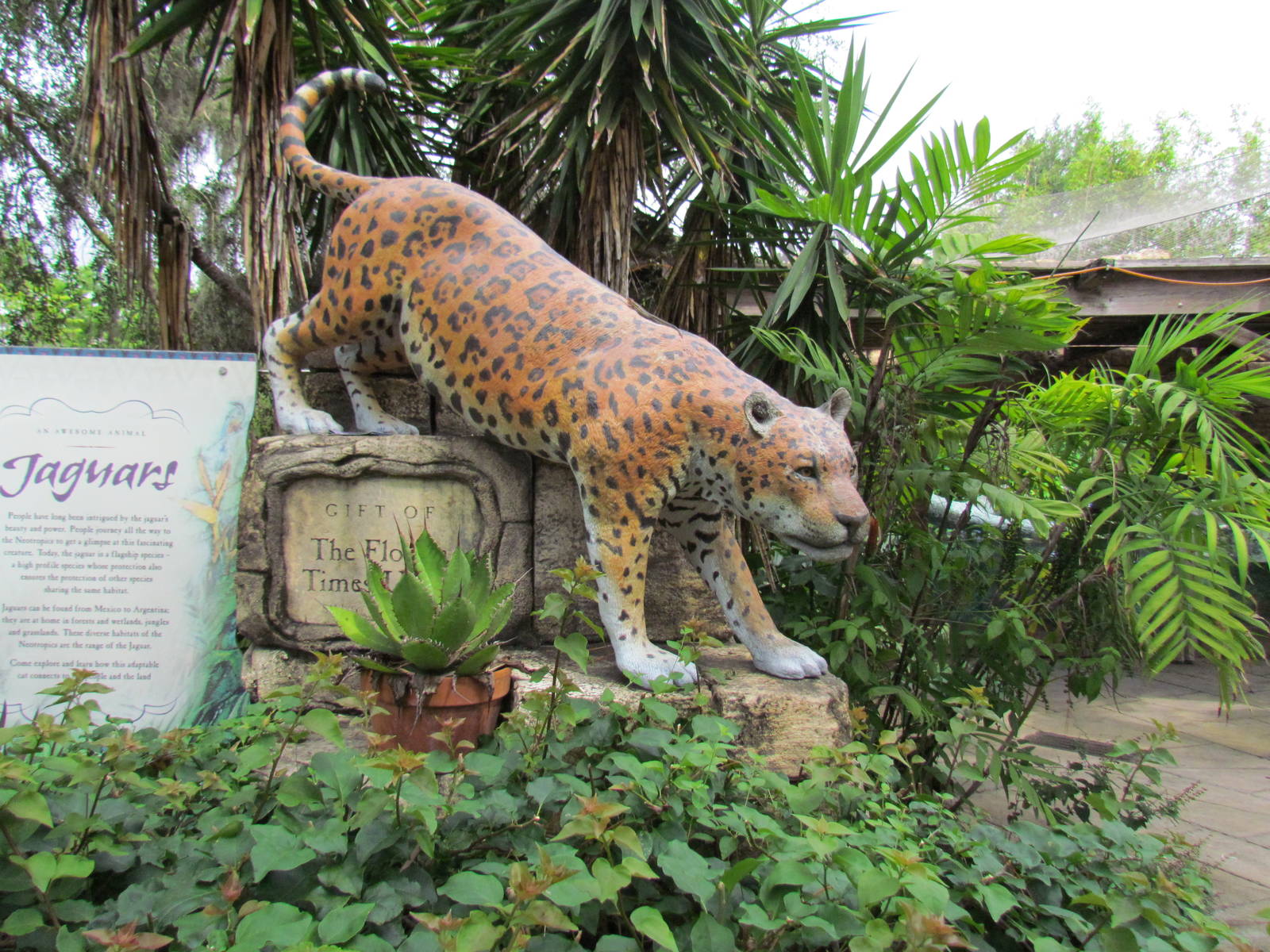 Range of The Jaguar Statue