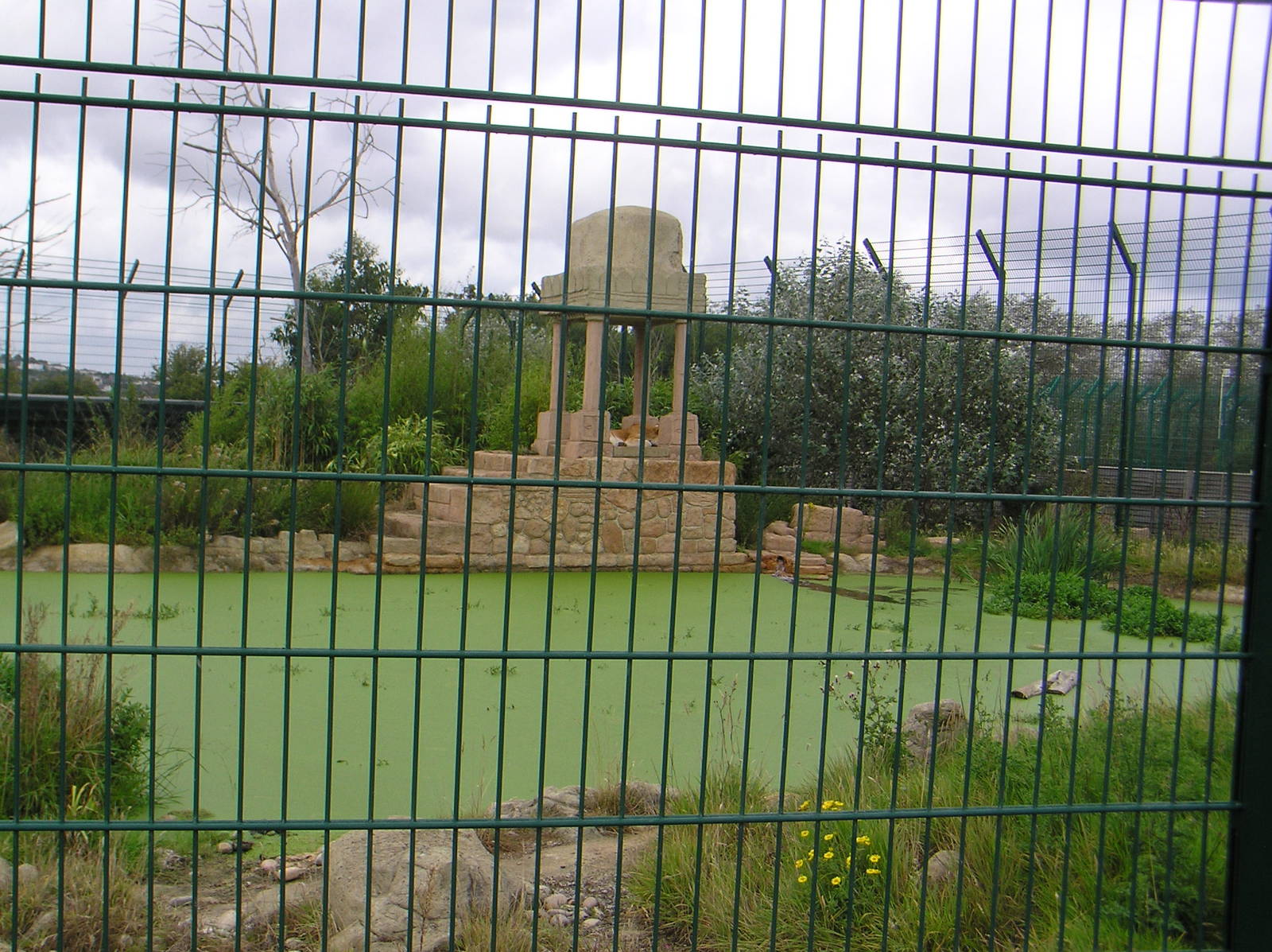 Ranthamabore Exhibit