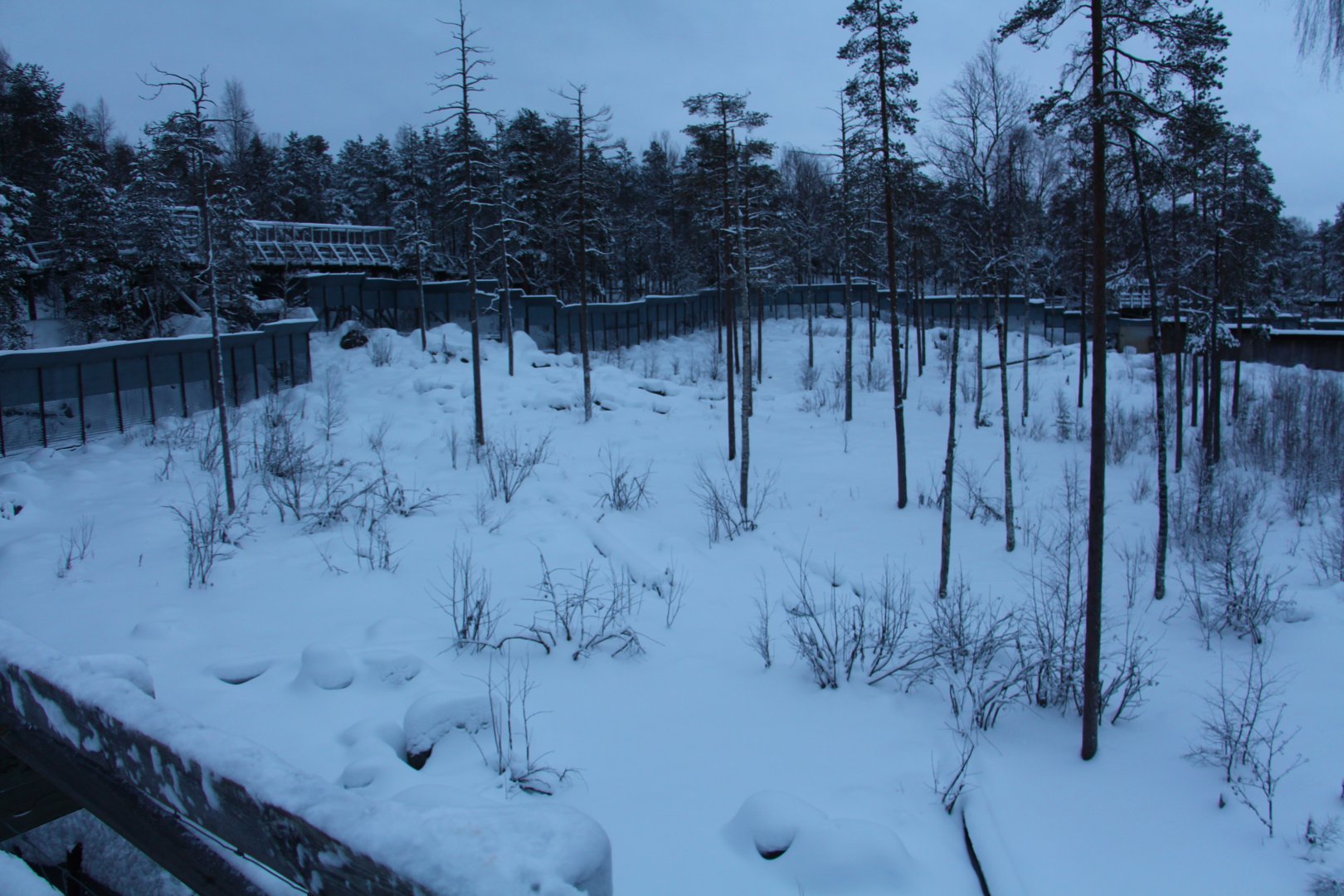 Ranua Wildlife Park - Brown Bear enclosure