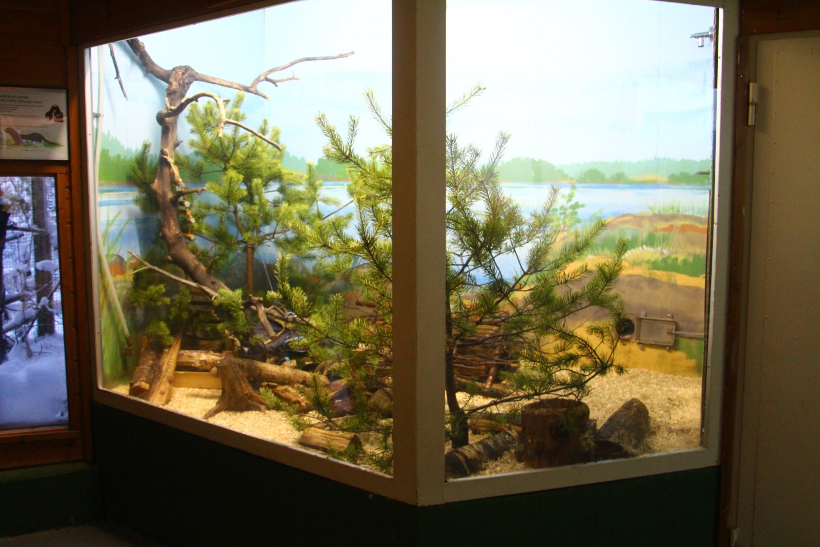 Ranua Wildlife Park - Mustelids indoor enclosure