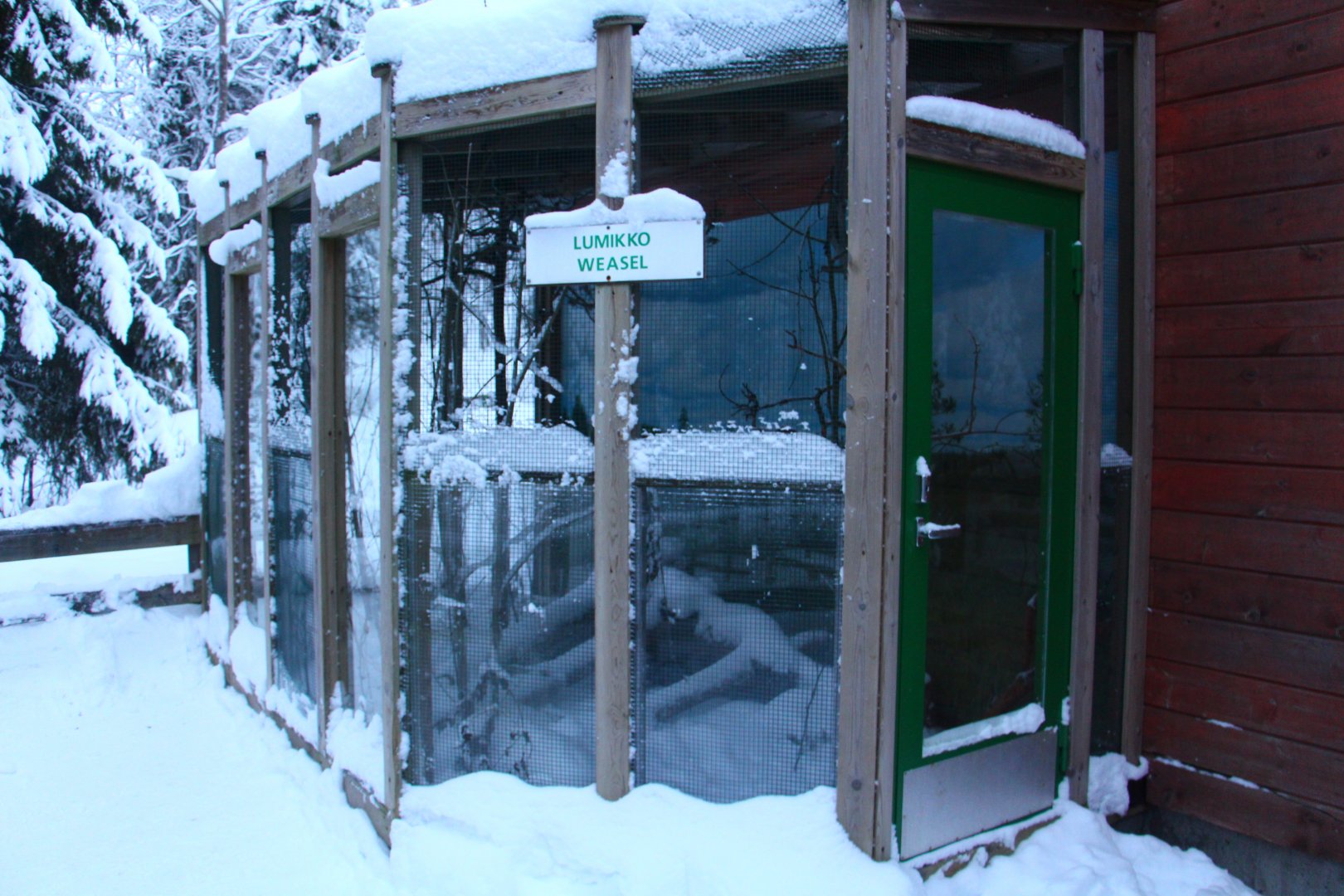 Ranua Wildlife Park - Mustelids outdoor enclosures