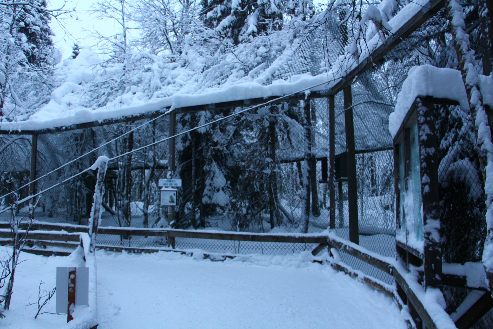 Ranua Wildlife Park - Raptor aviaries