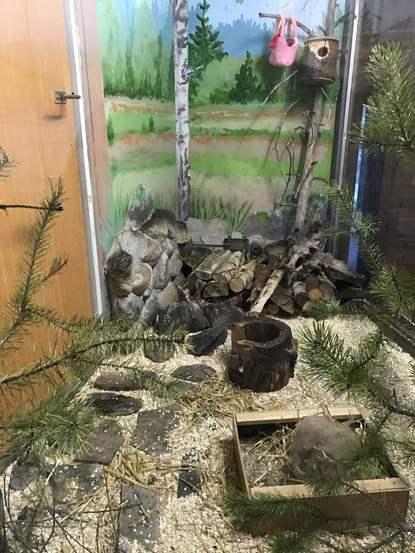 Ranua Zoo - 25th December 2016