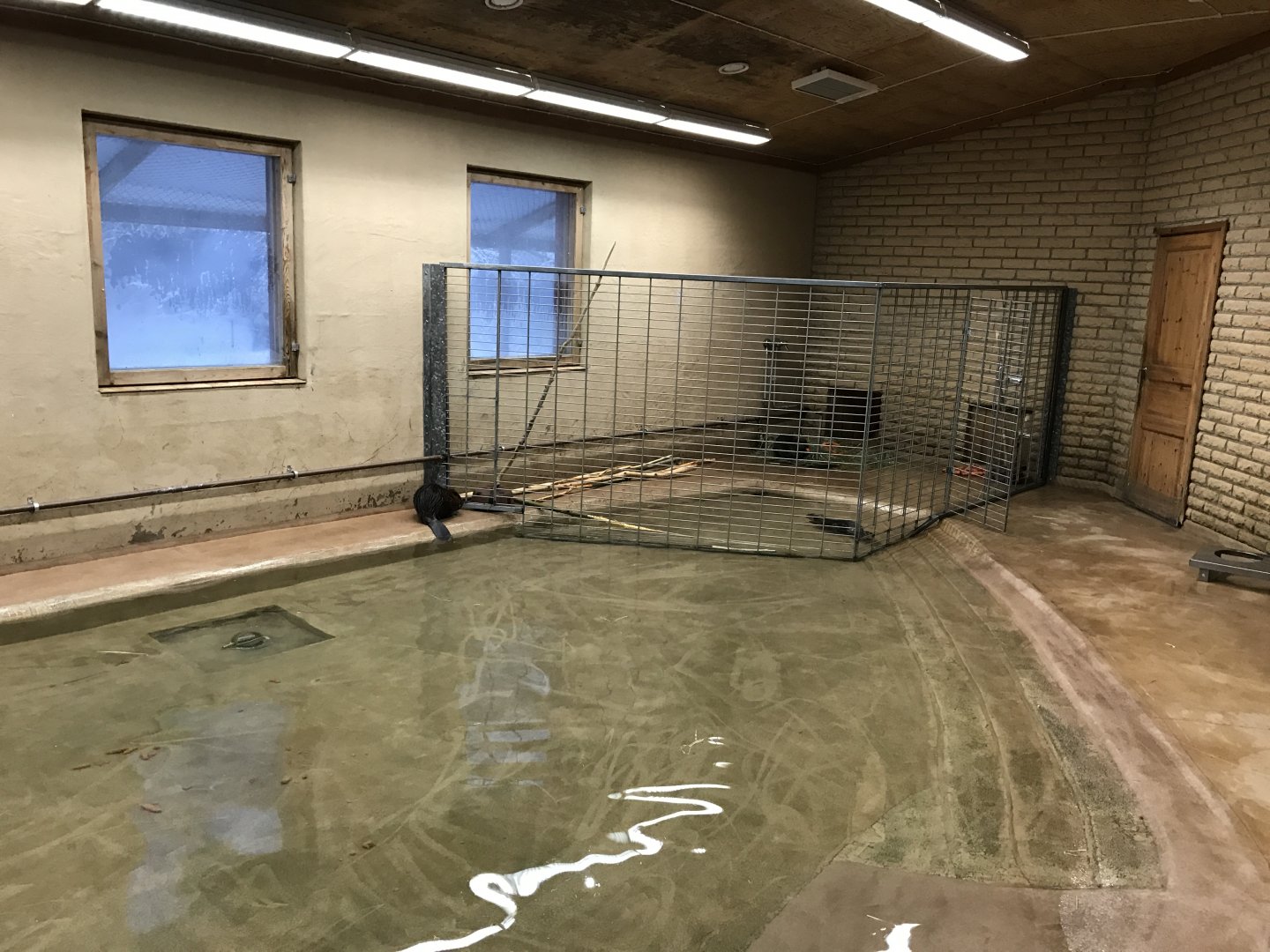 Ranua Zoo - 25th December 2016