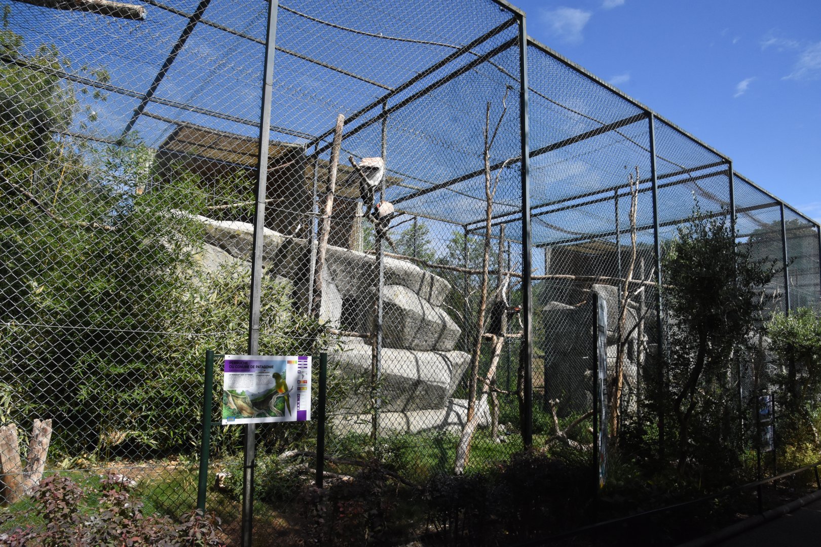 Raptor and large parrot aviaries