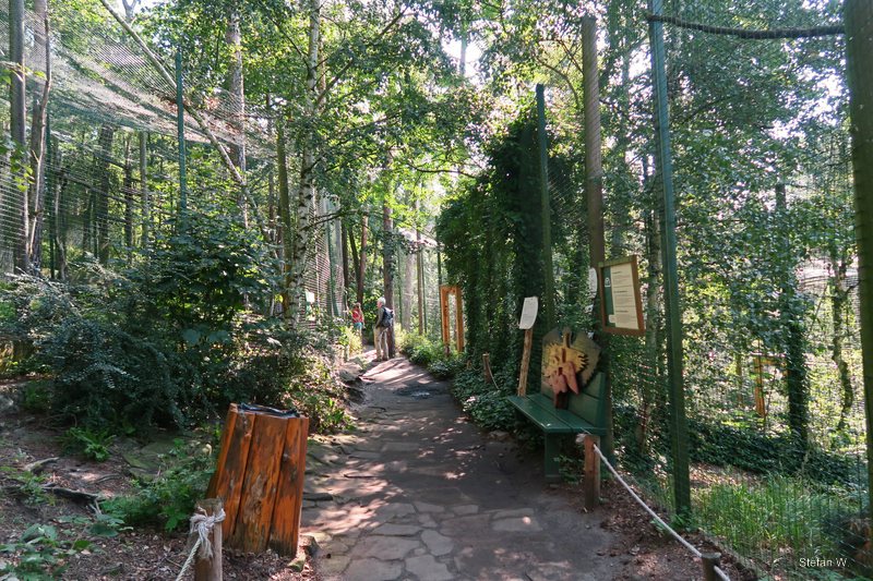 Raptor and owl aviaries