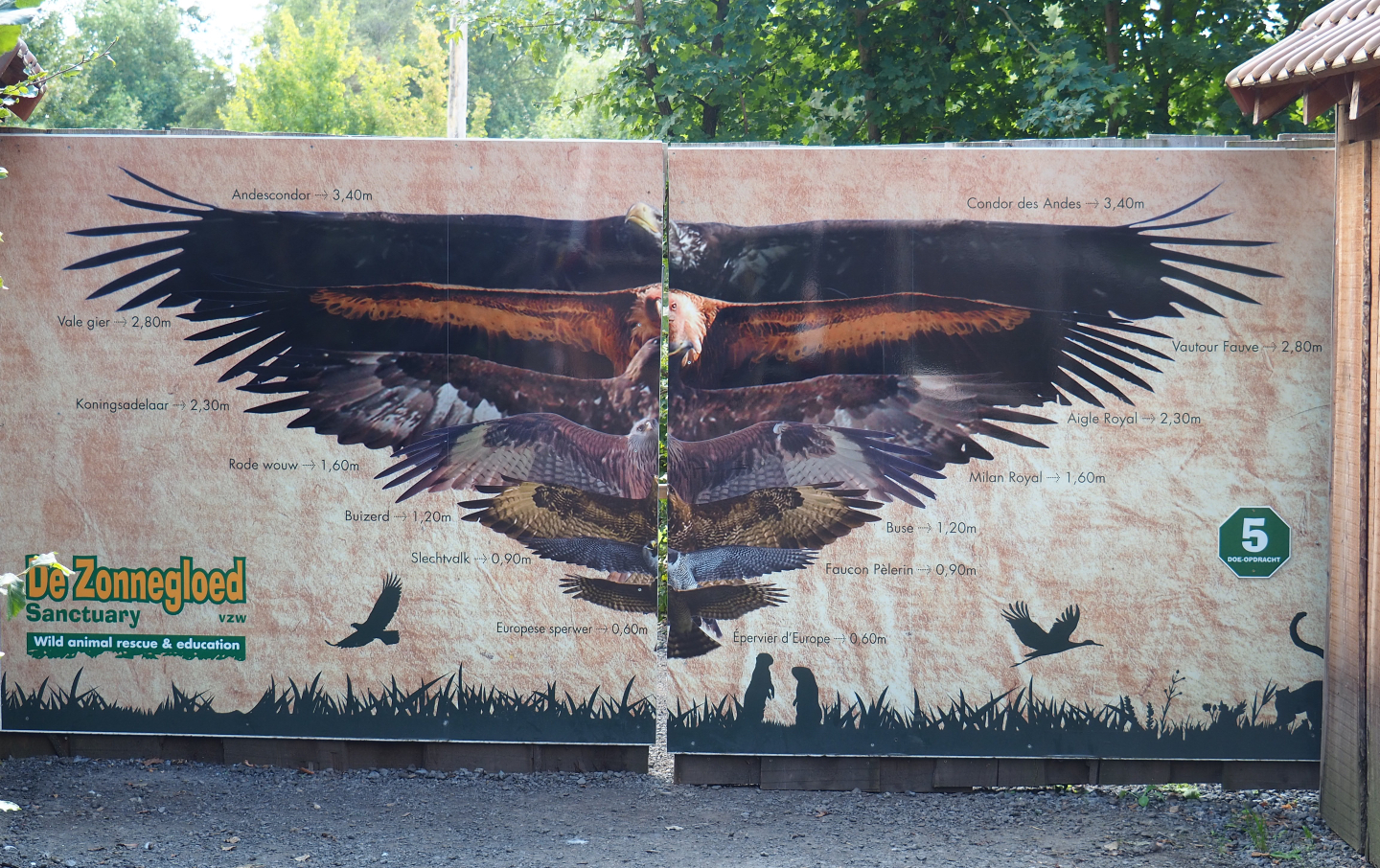 Raptor and vulture wingspan sign on gate - With a big mistake, 2020-09-12
