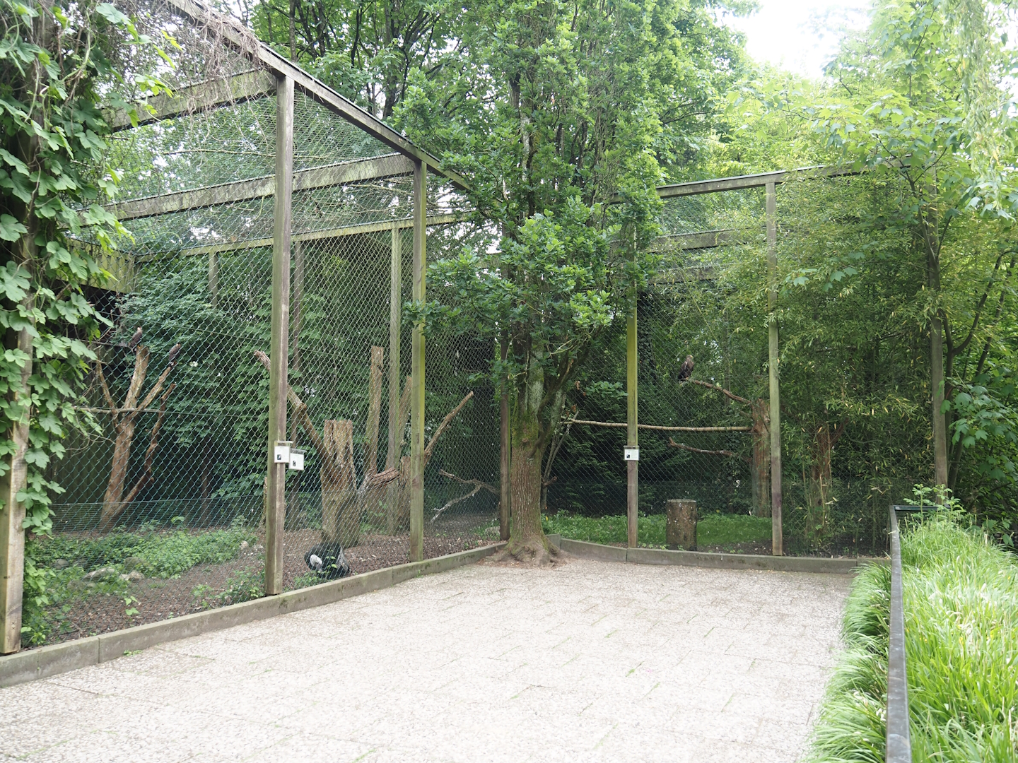 Raptor aviaries, 2024-05-21