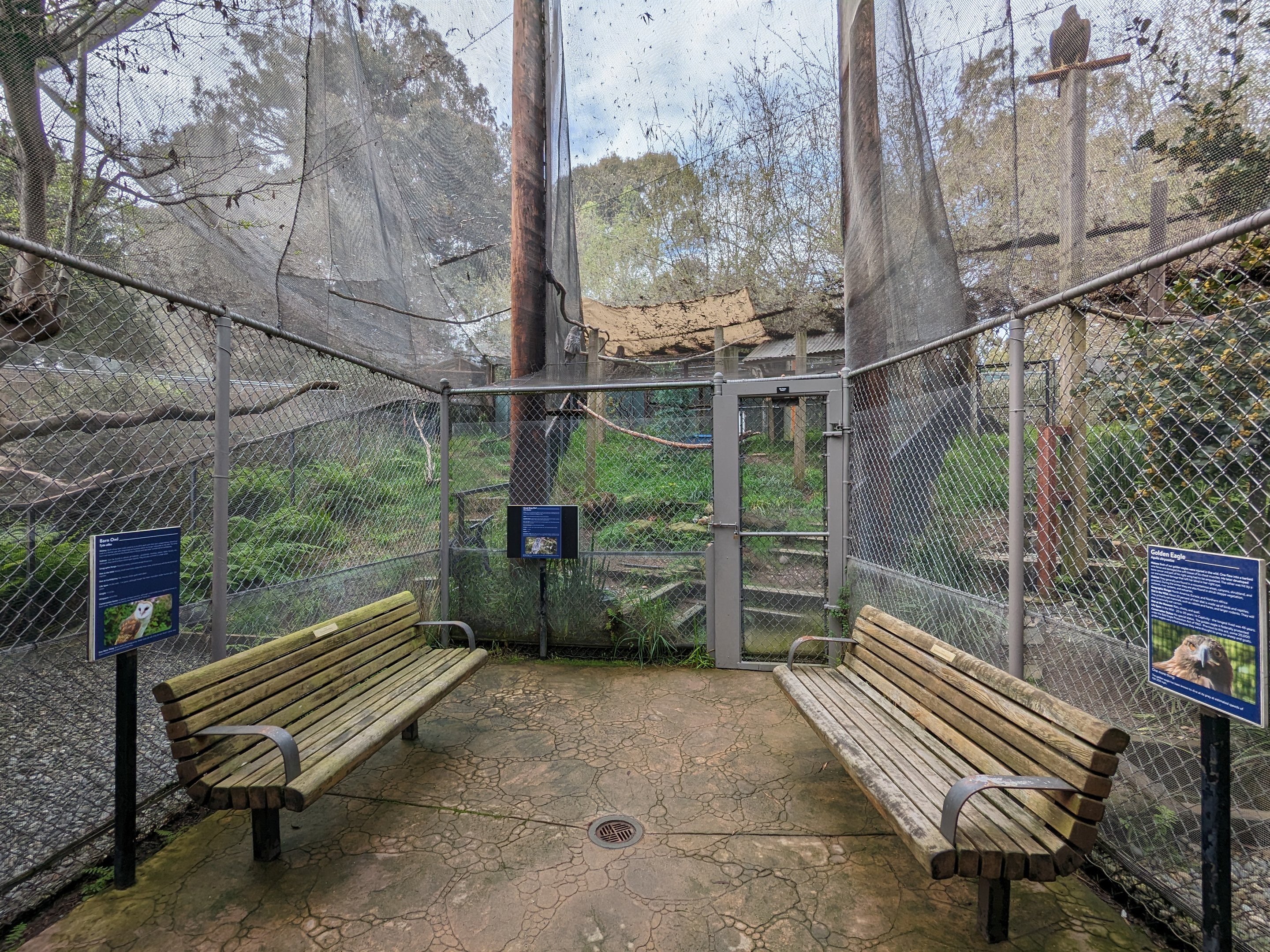 Raptor aviaries (3)