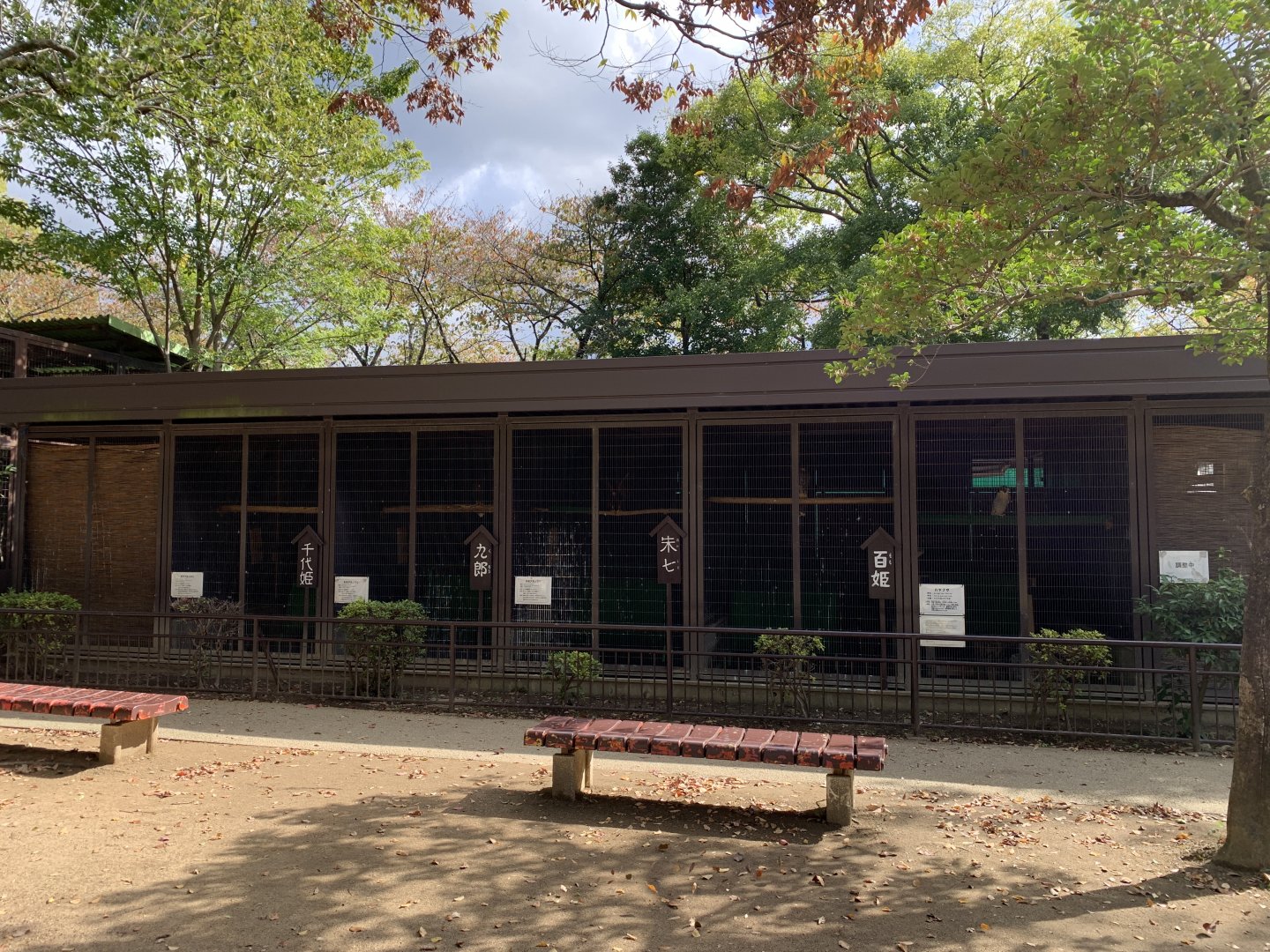 Raptor Aviaries (Himeji City Zoo)
