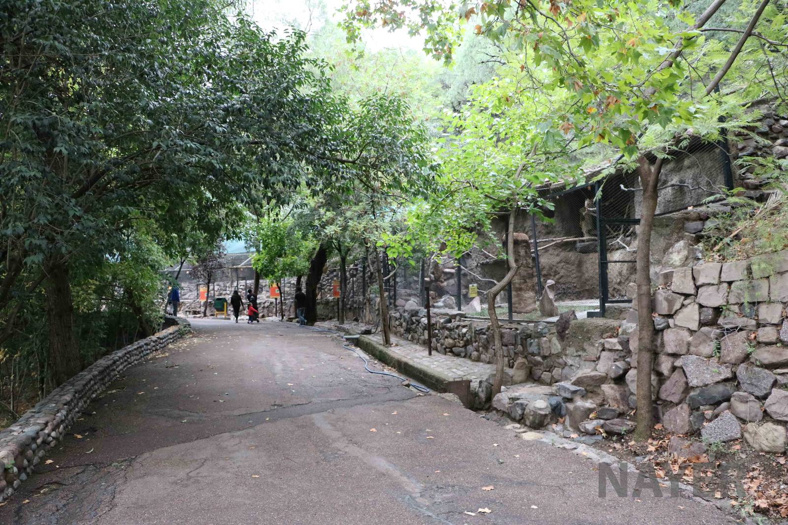 Raptor aviaries - Mendoza Zoo, April 2016