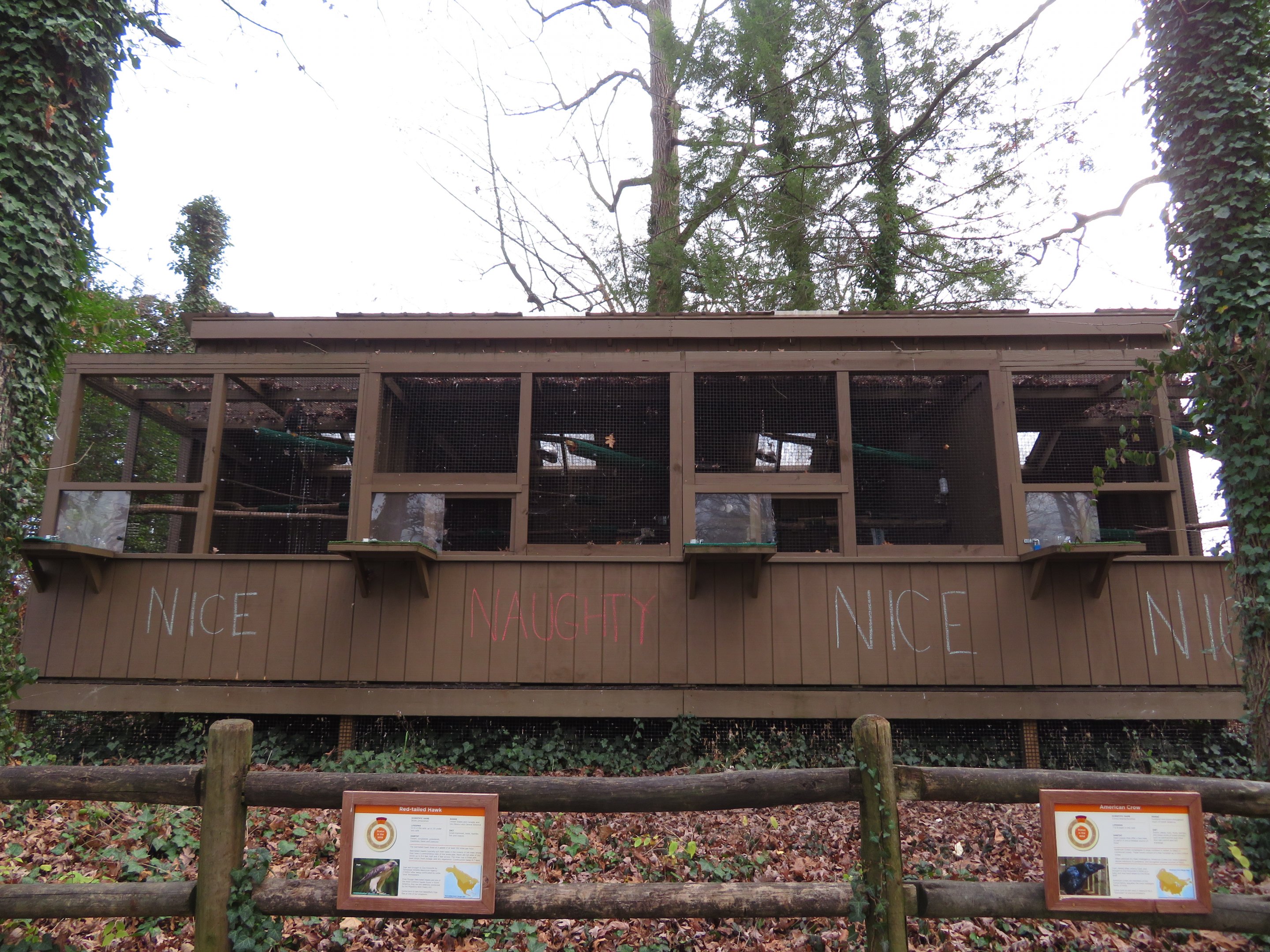 Raptor Aviaries - Naughty and Nice