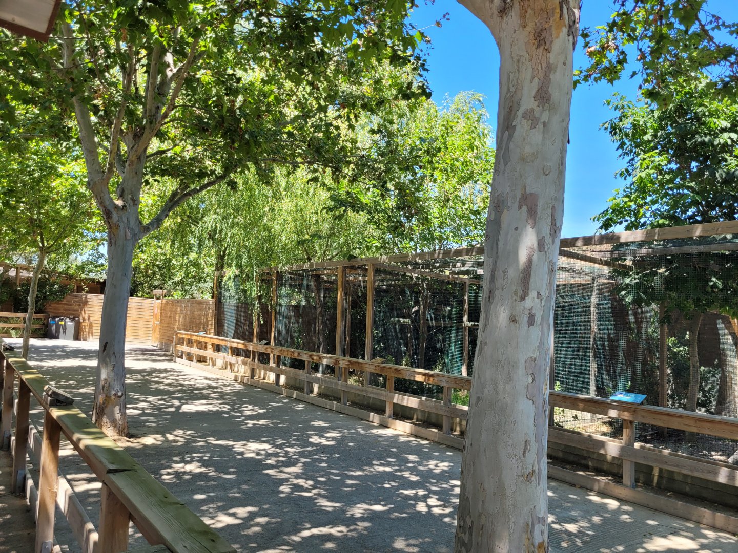 Raptor aviaries -Sendaviva (2024)