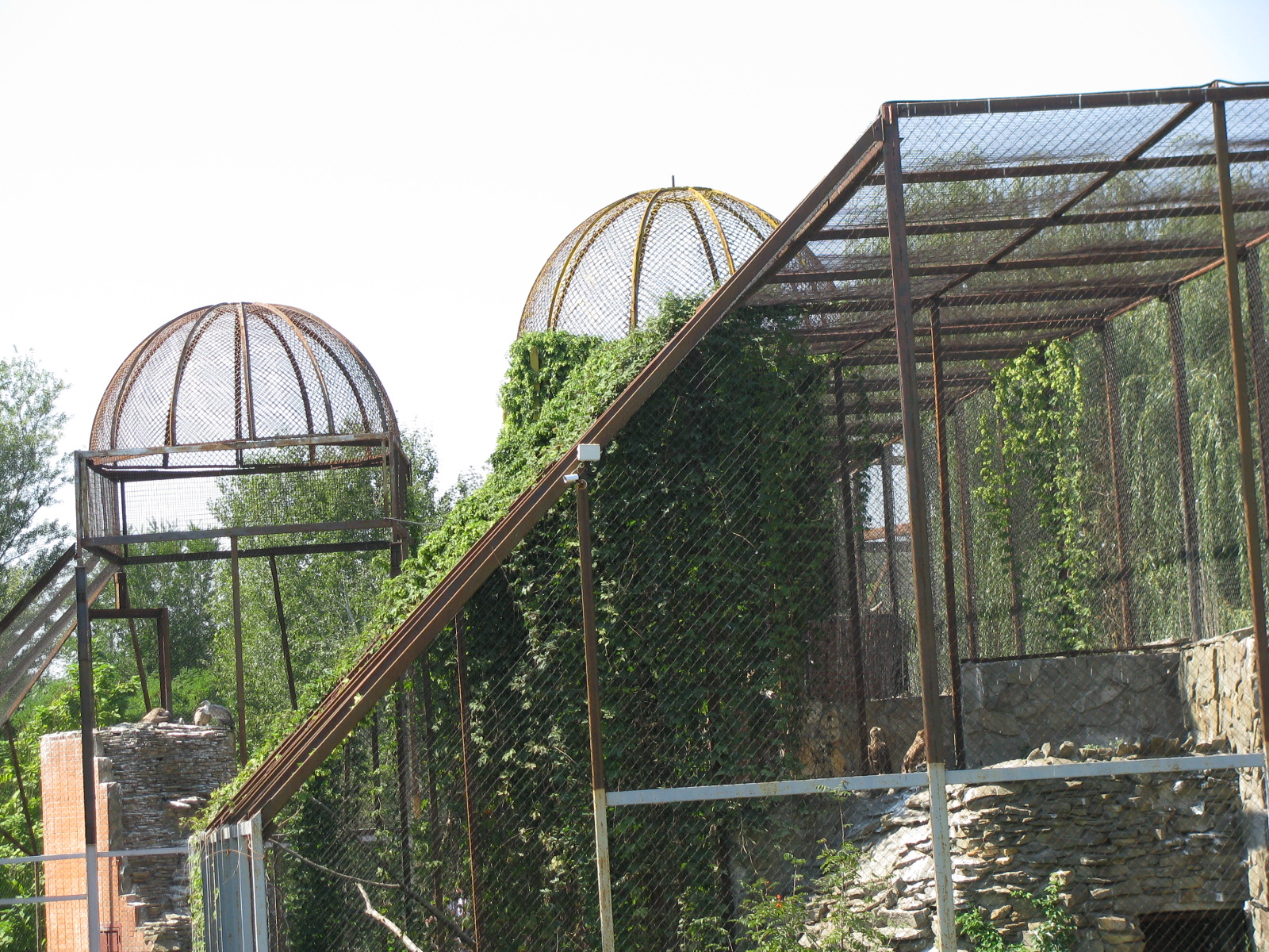 Raptor aviaries