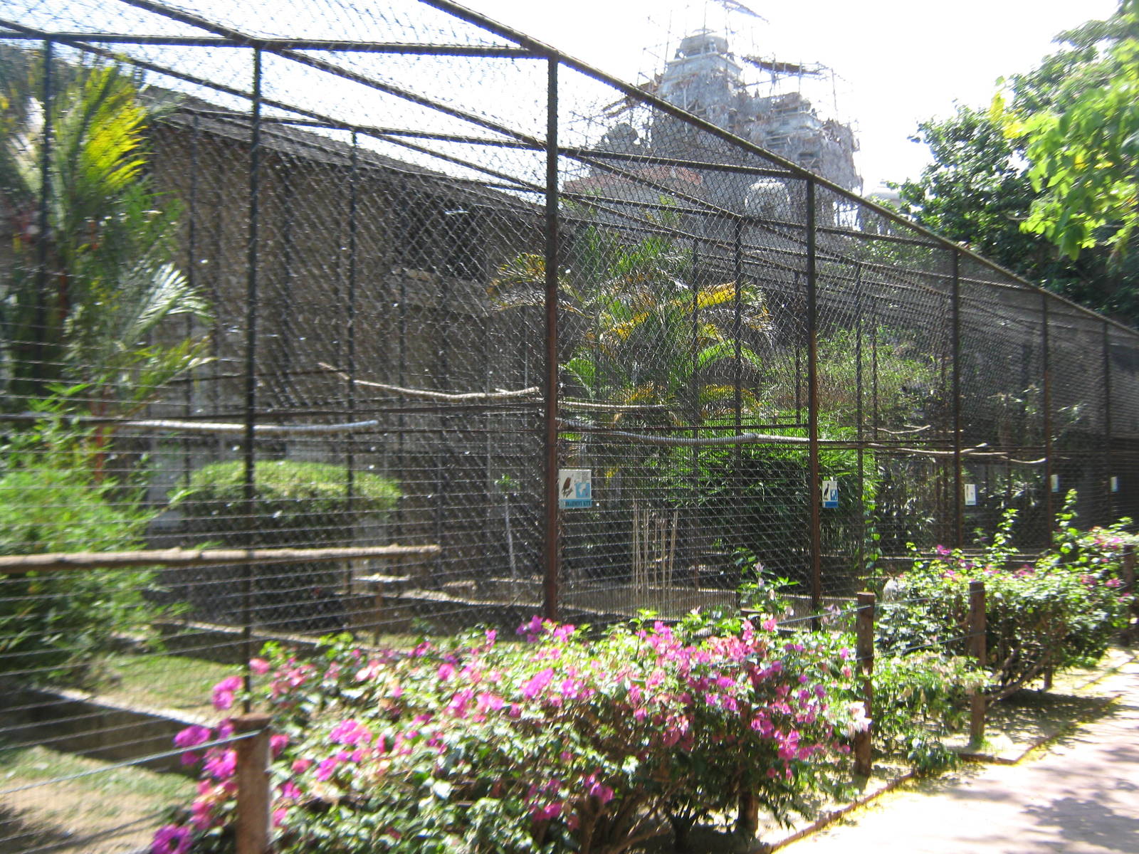 raptor aviaries