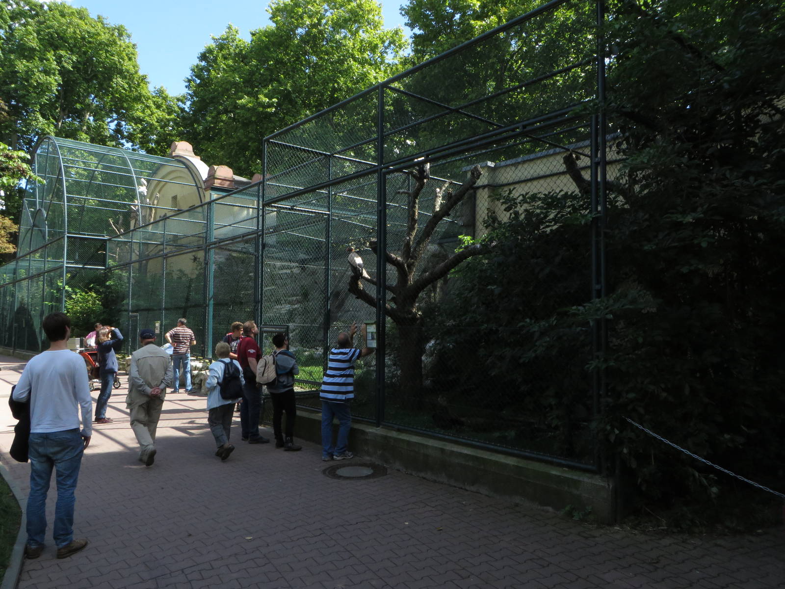 Raptor aviaries