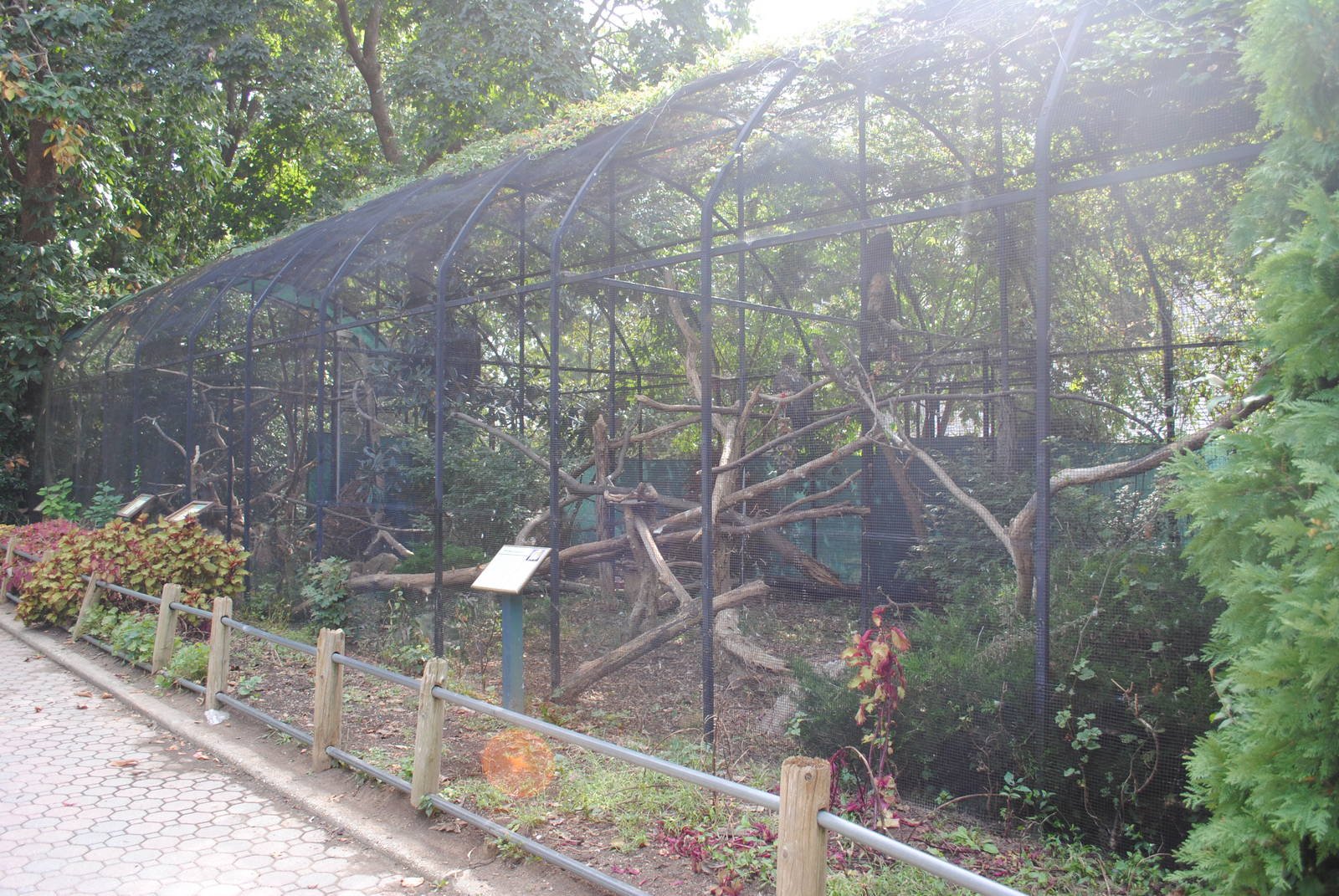 Raptor Aviaries