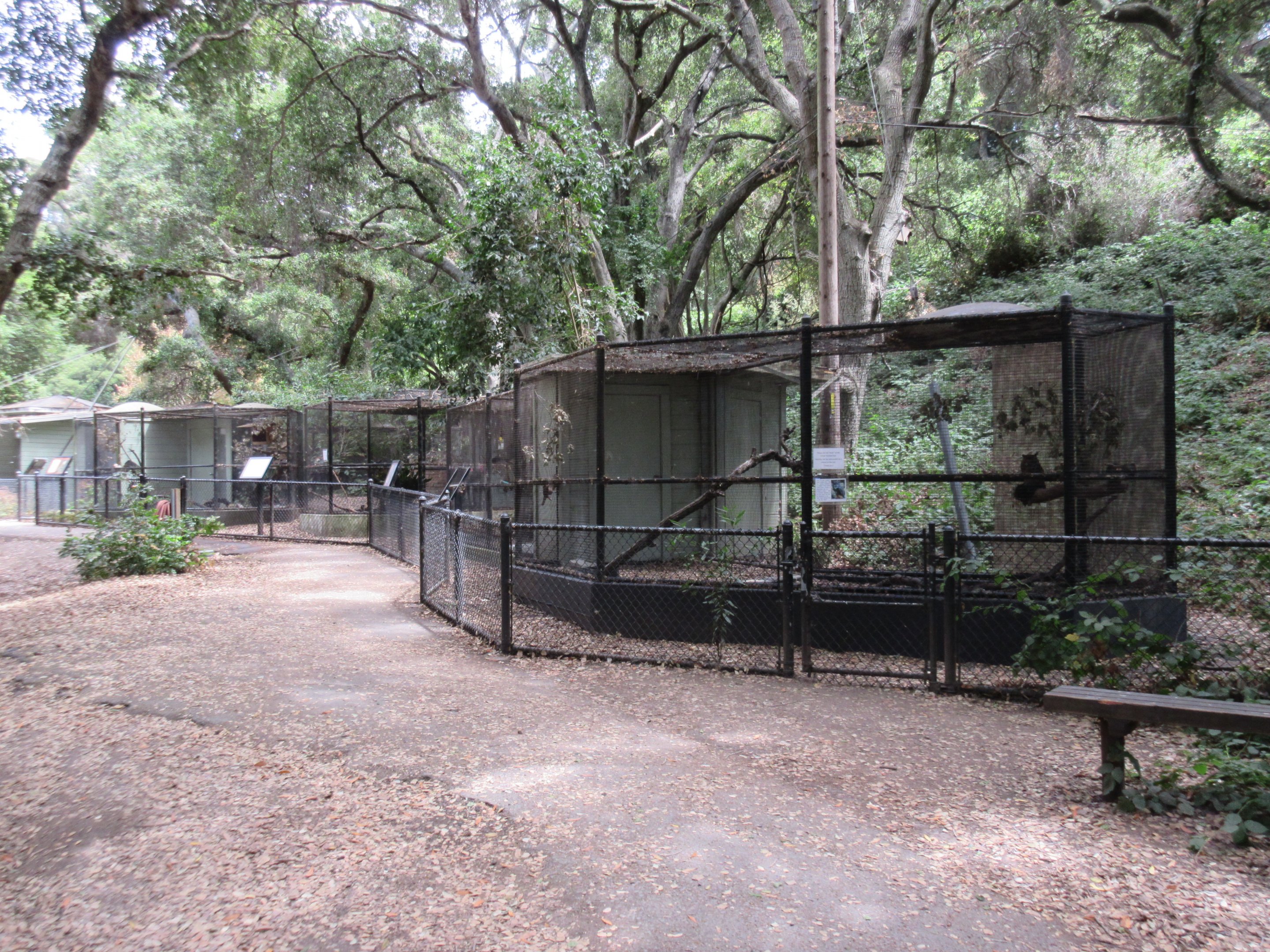 Raptor Aviaries