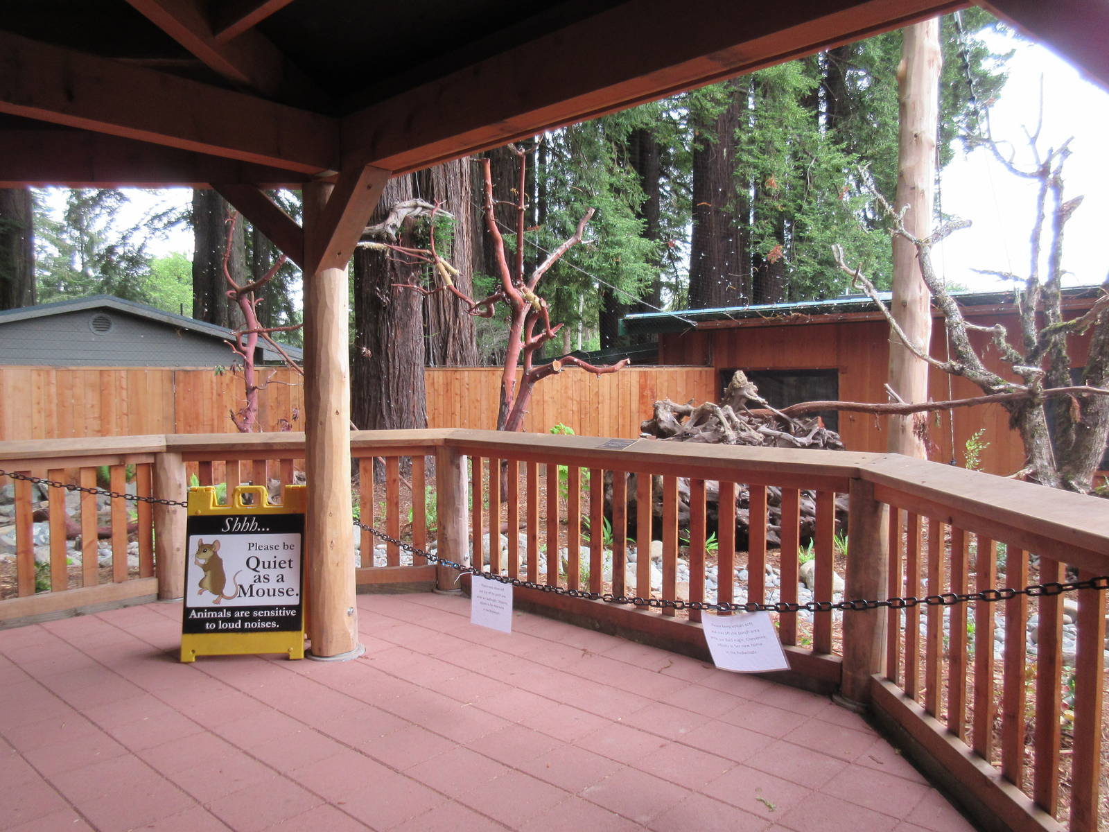 Raptor Aviary - Bald Eagle Exhibit