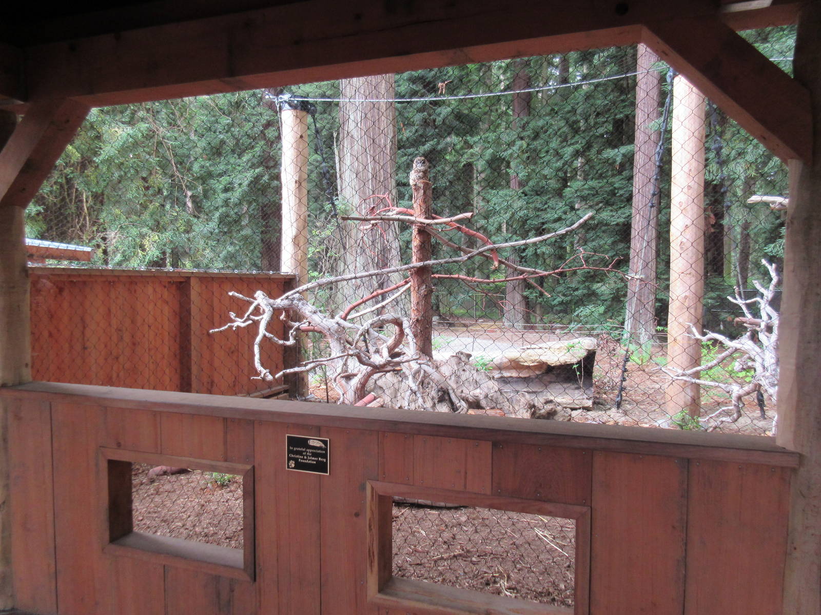 Raptor Aviary - Northern Spotted Owl/North American Porcupine Exhibit