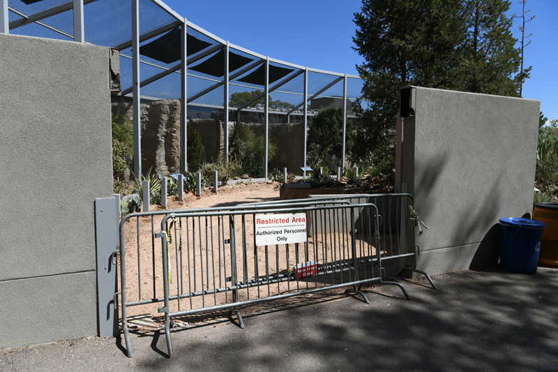 raptor aviary path construction