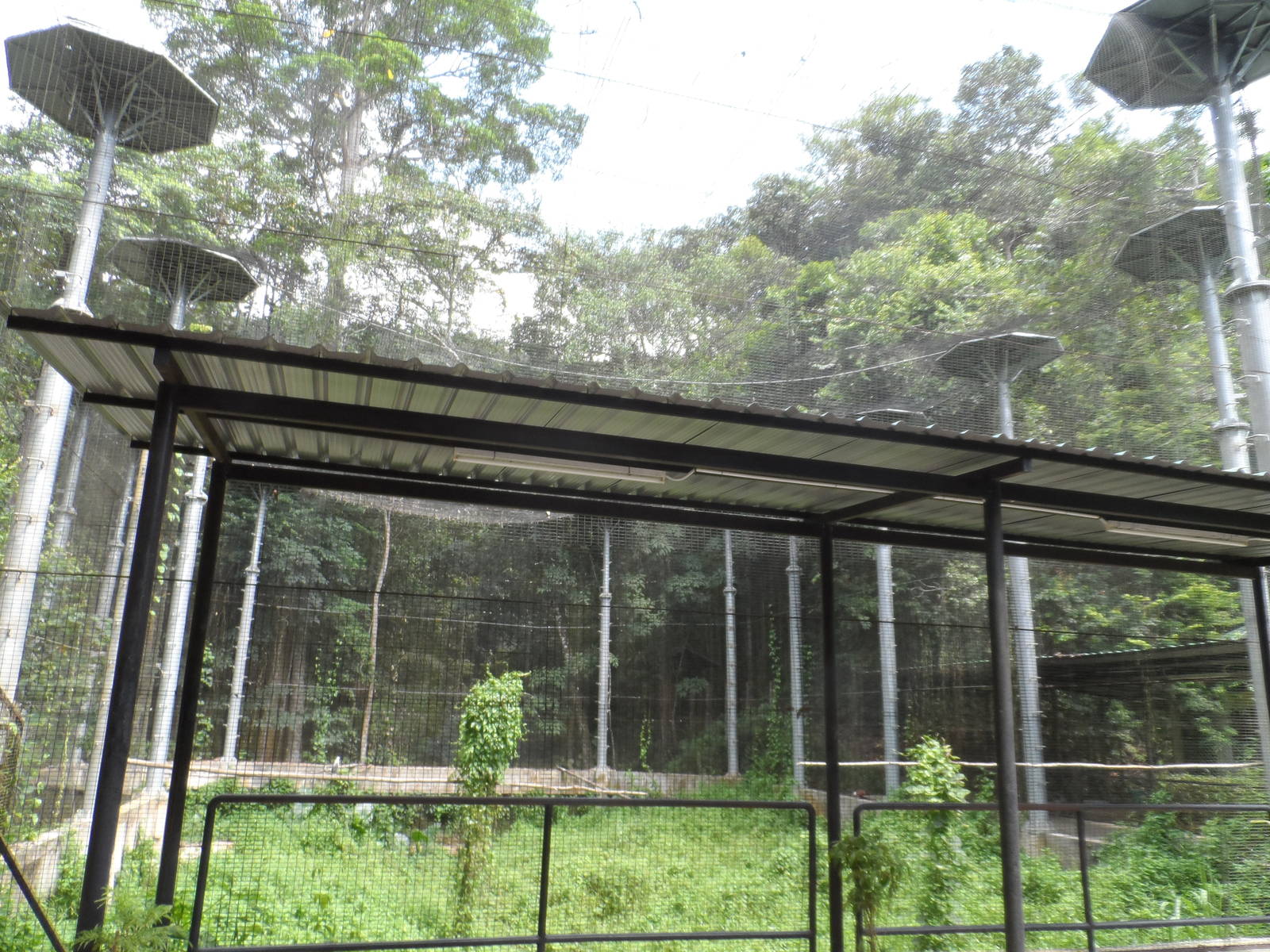 Raptor Aviary