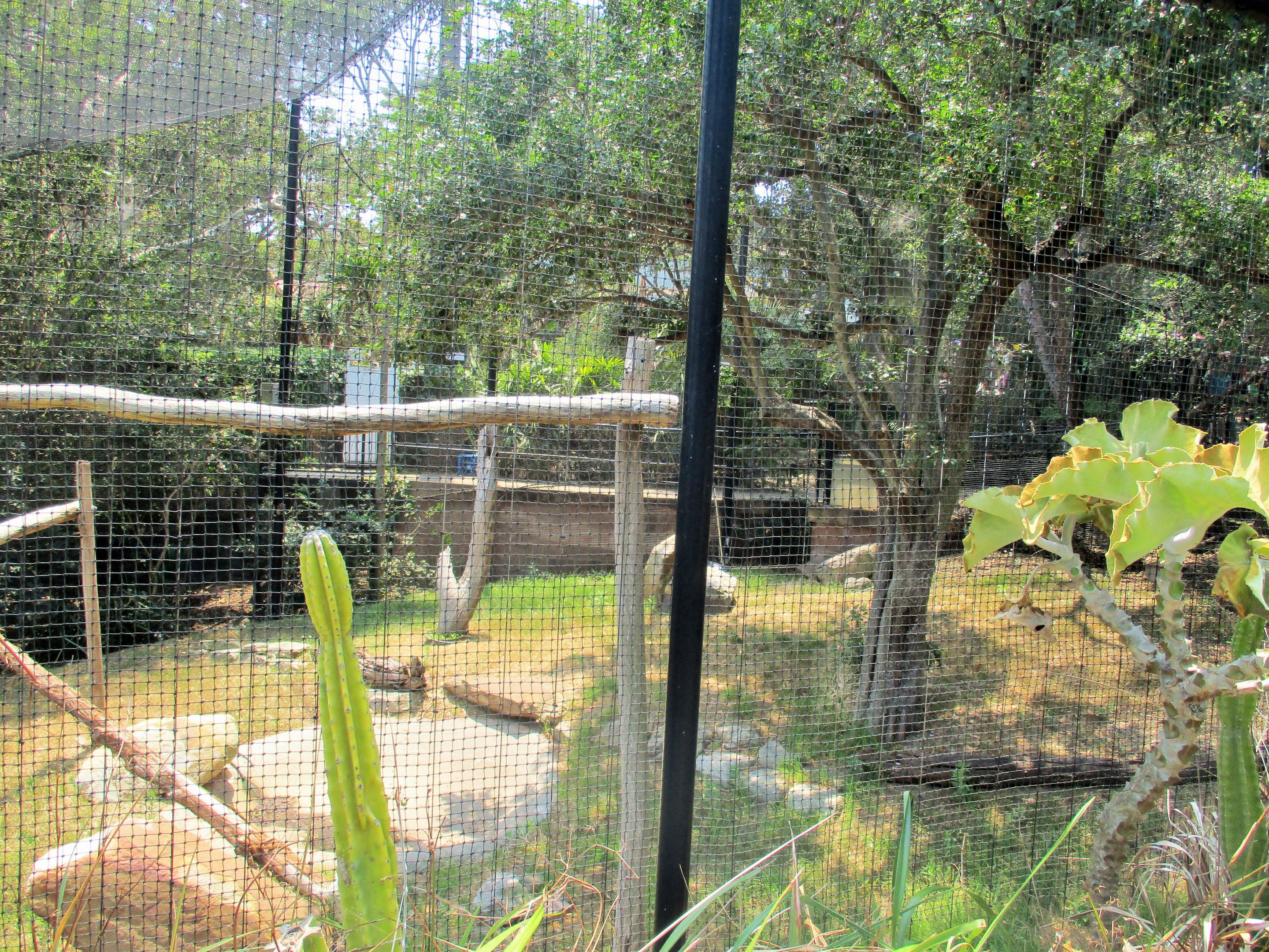 Raptor Aviary