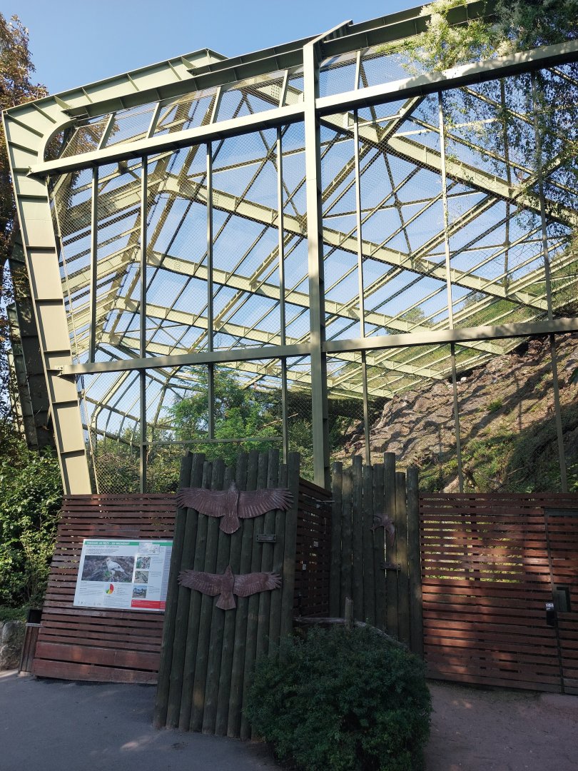 Raptor aviary
