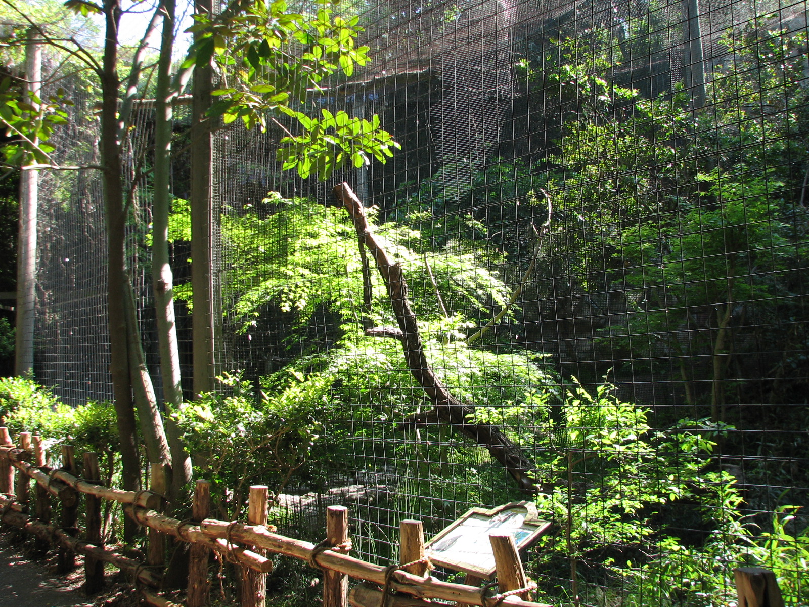 Raptor Canyon - African Crowned Eagle Exhibit