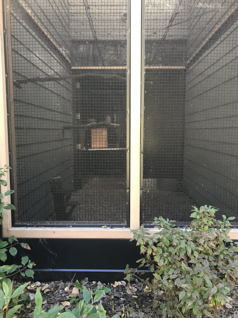 Raptor Complex - American Kestrel Exhibit