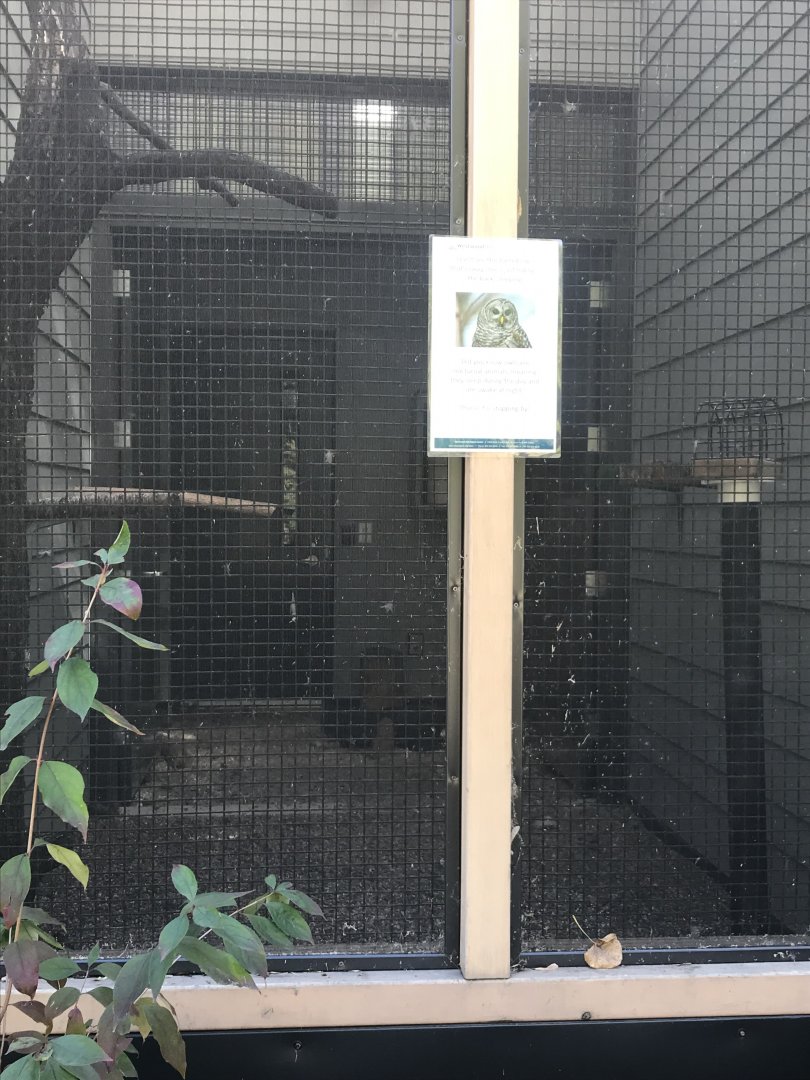 Raptor Complex - Barred Owl Exhibit