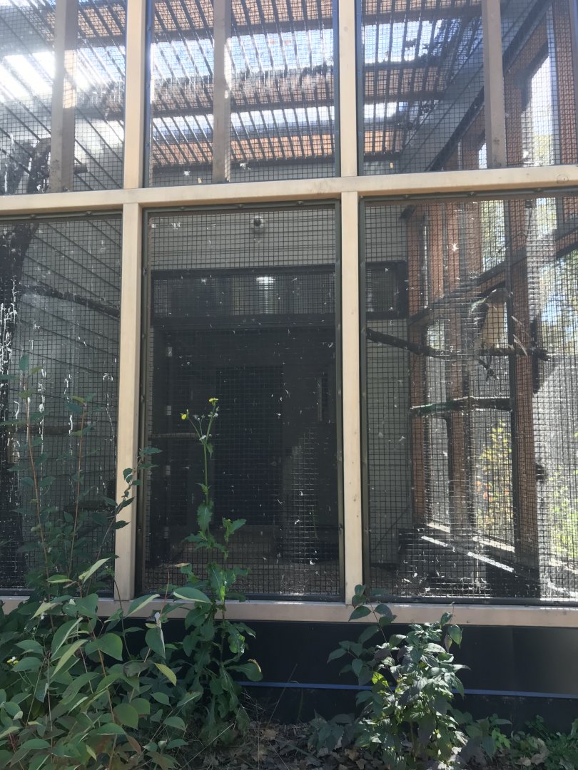 Raptor Complex - Red-Tailed Hawk Exhibit