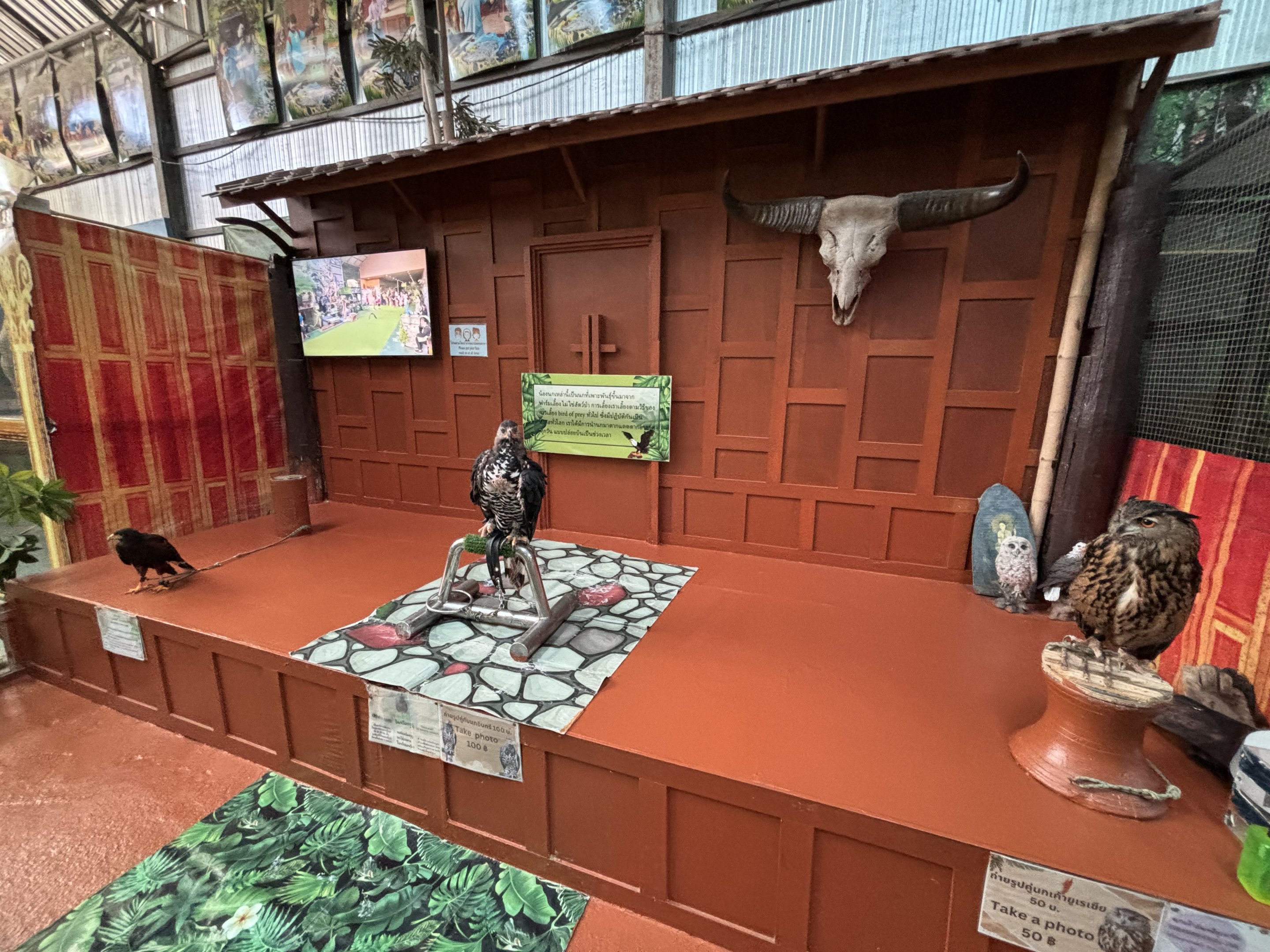 Raptor Holding Zone (extra fee)