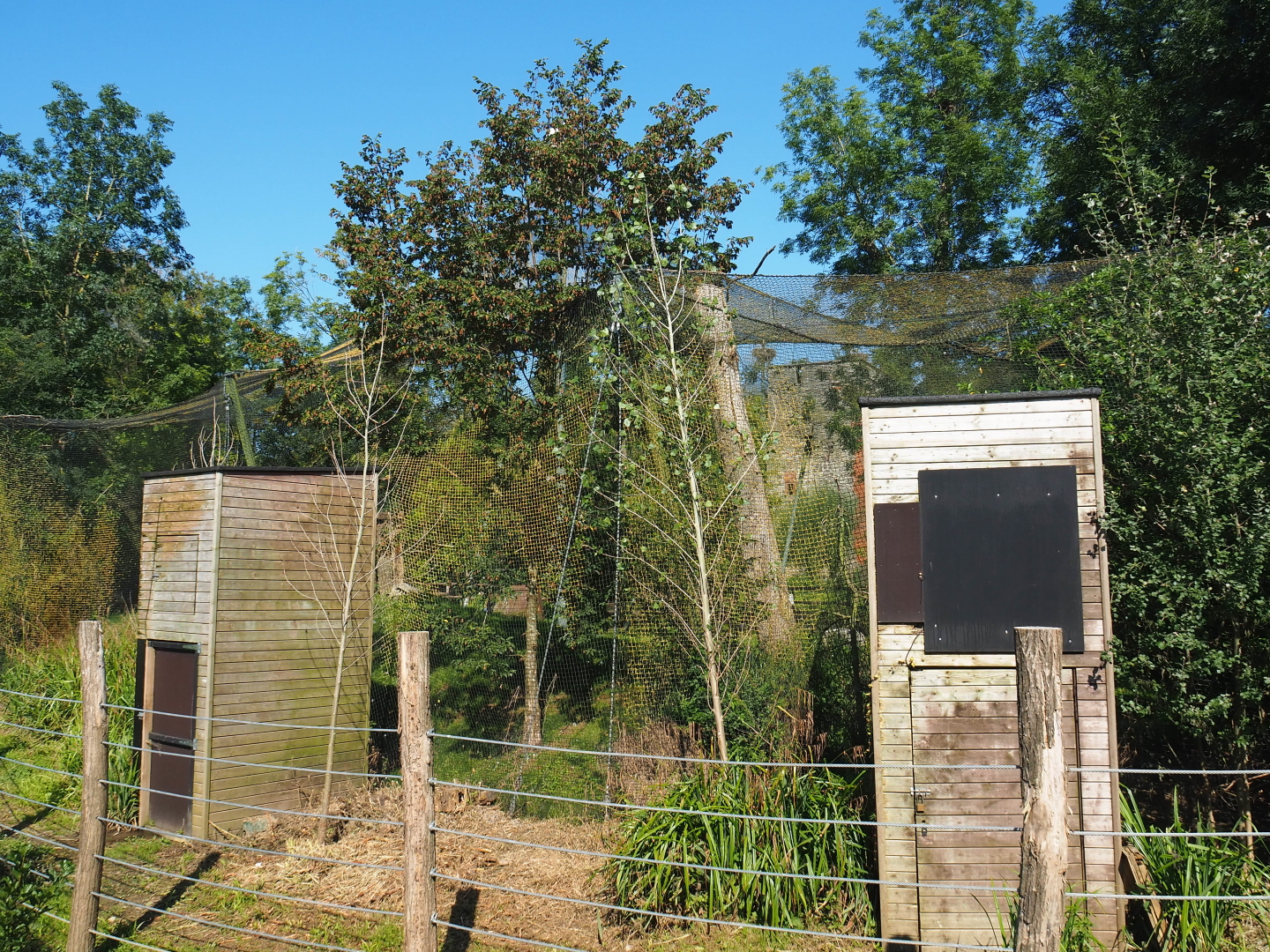 Raptor mews and backside of raptor aviaries, 2021-09-03