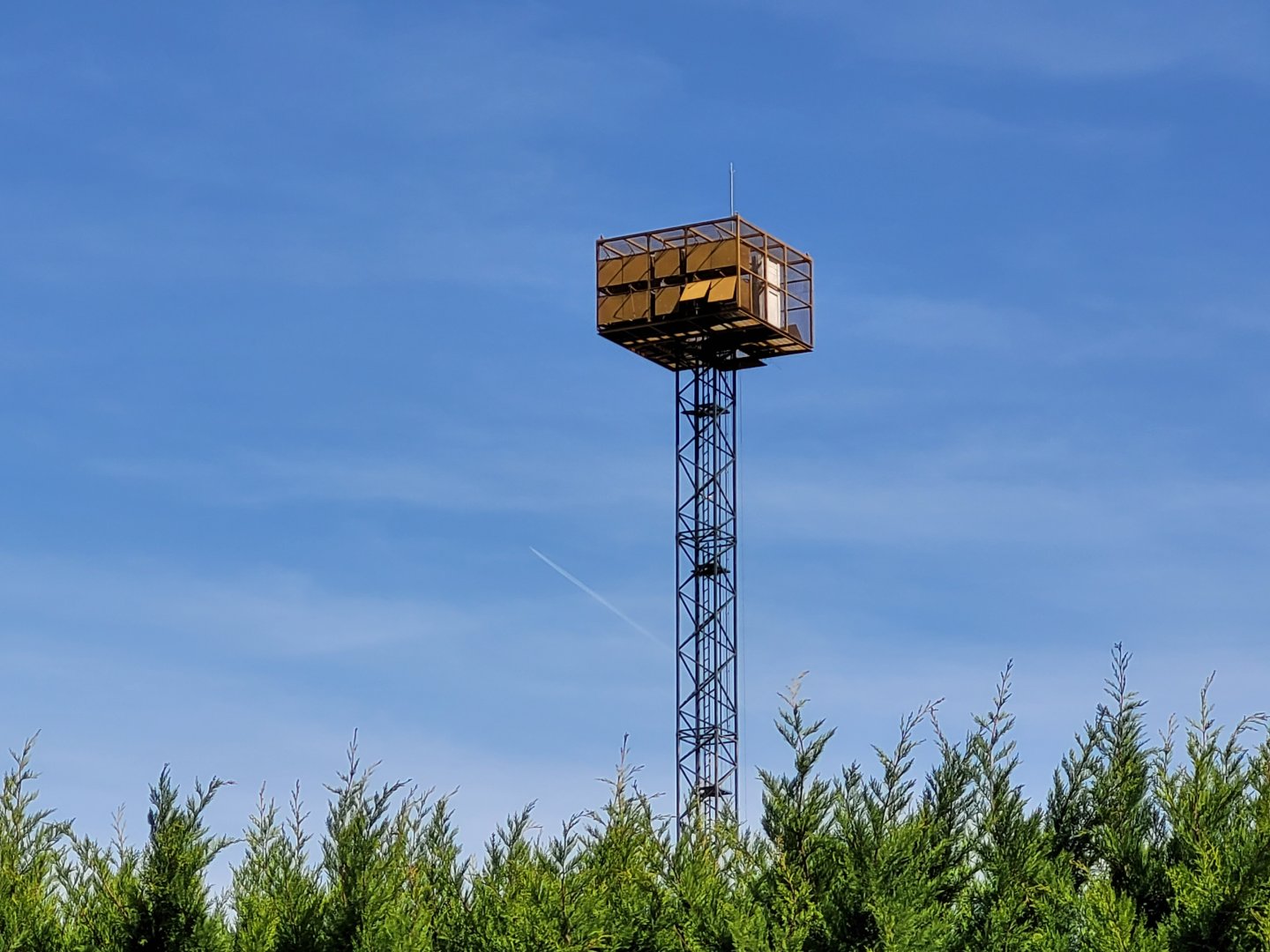 Raptor release tower -Tierra Rapaz (2024)