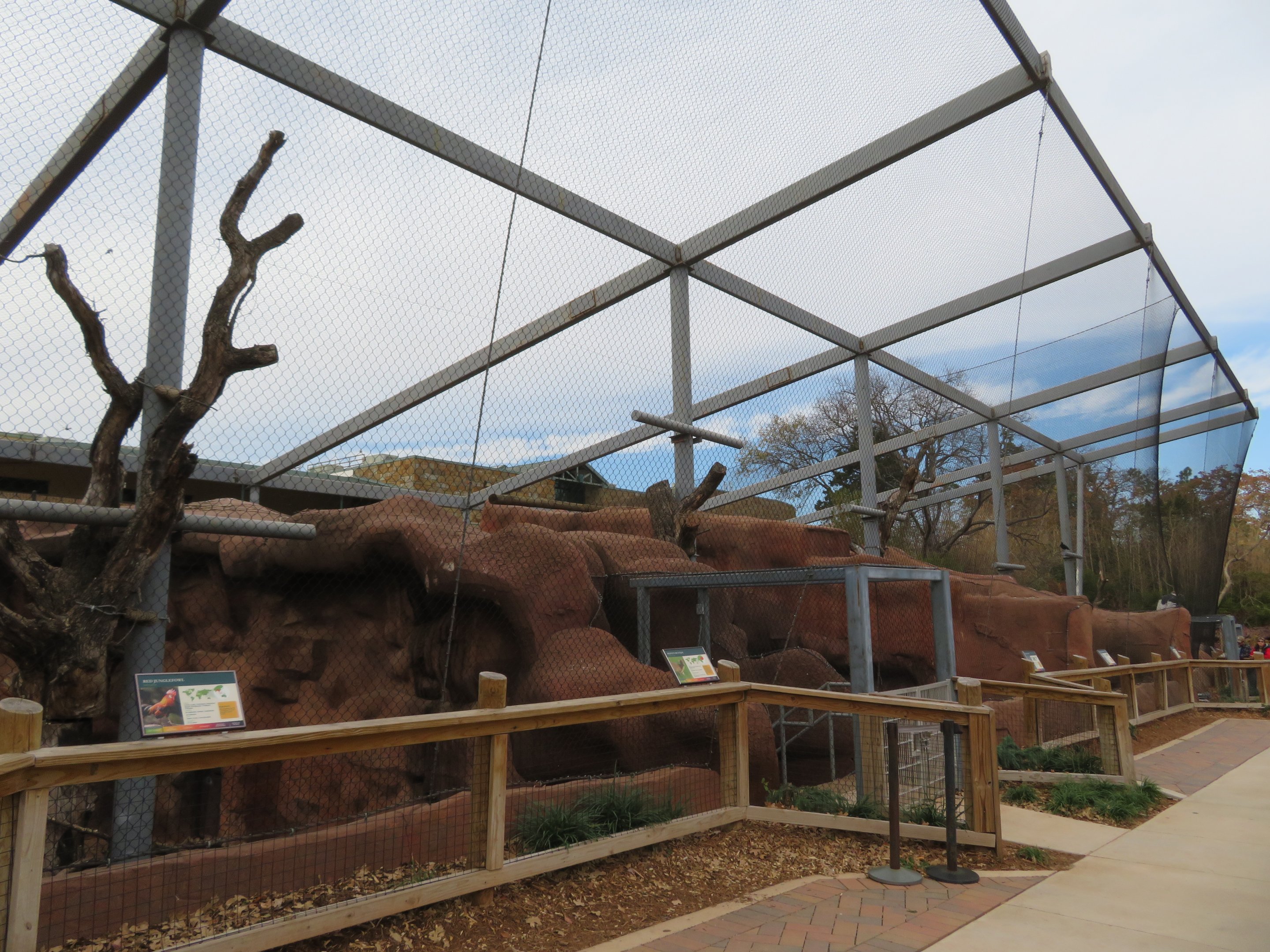 Raptor Ridge (5 spp)