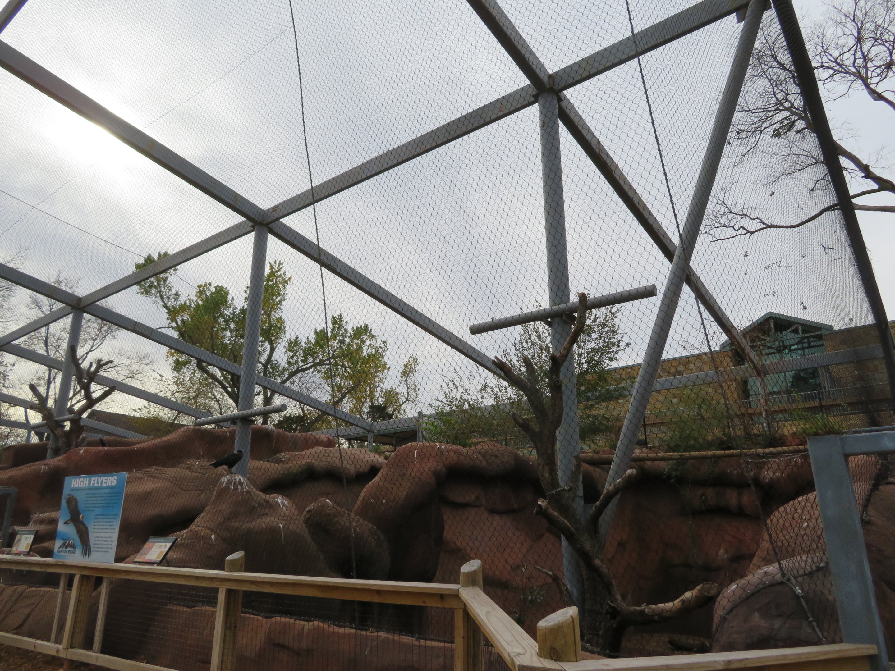 Raptor Ridge (5 spp)