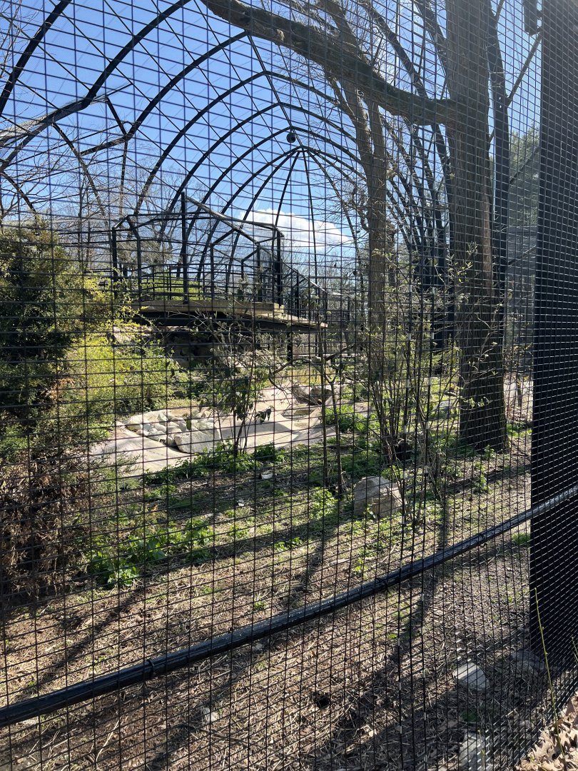 Raptor Ridge (from outside)