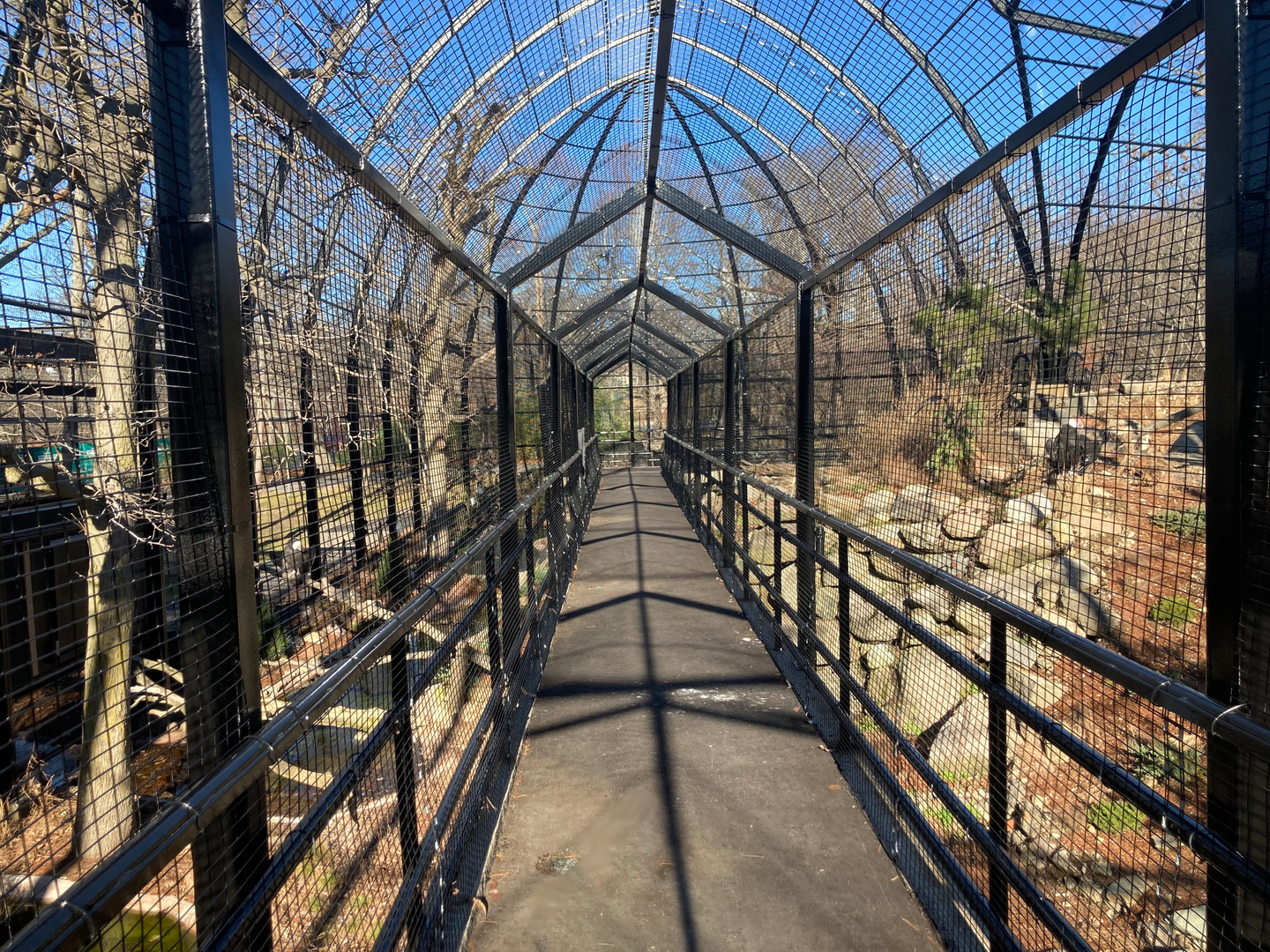 Raptor Ridge Walkway