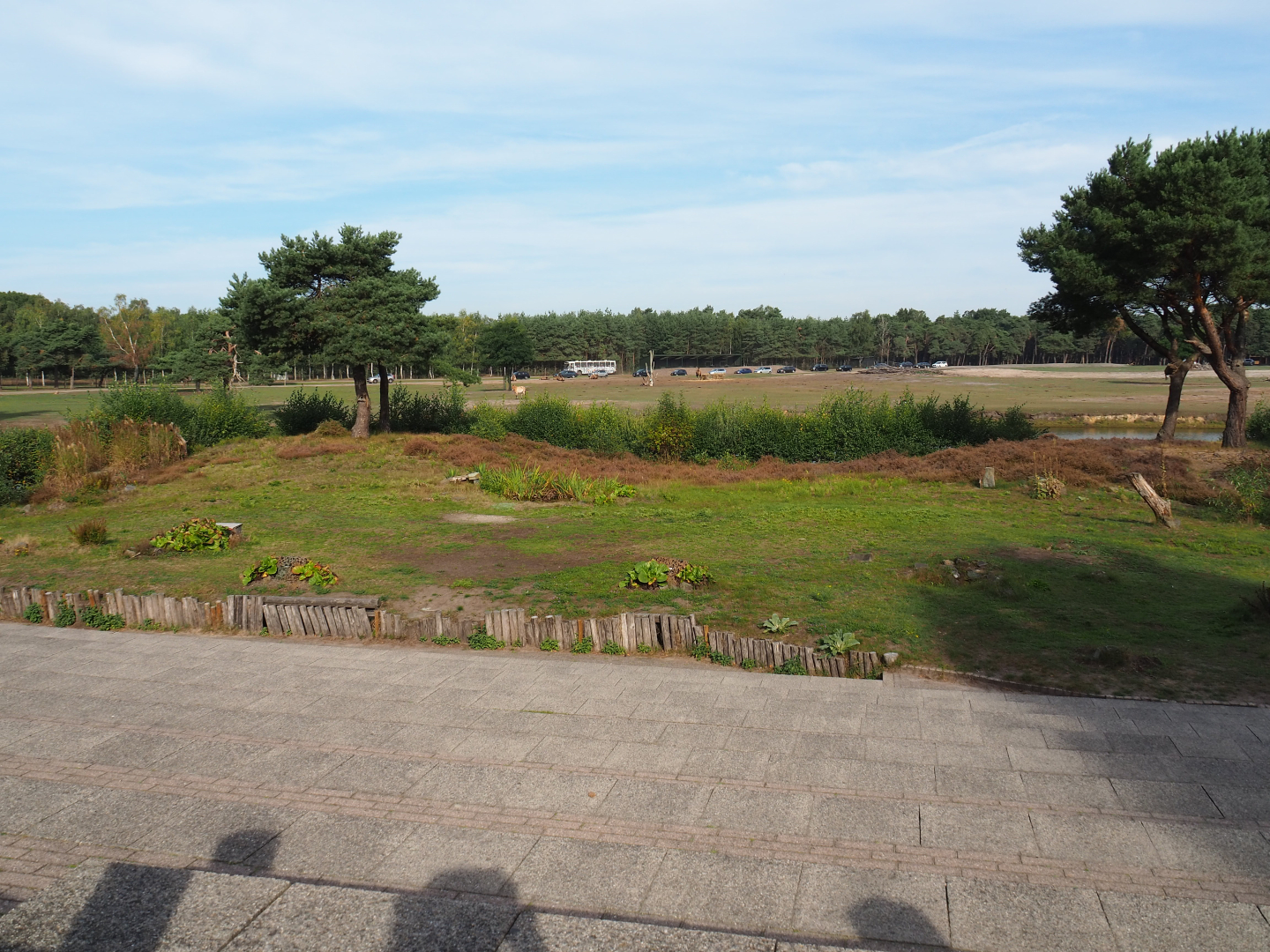 Raptor show arena, 2019-09-15