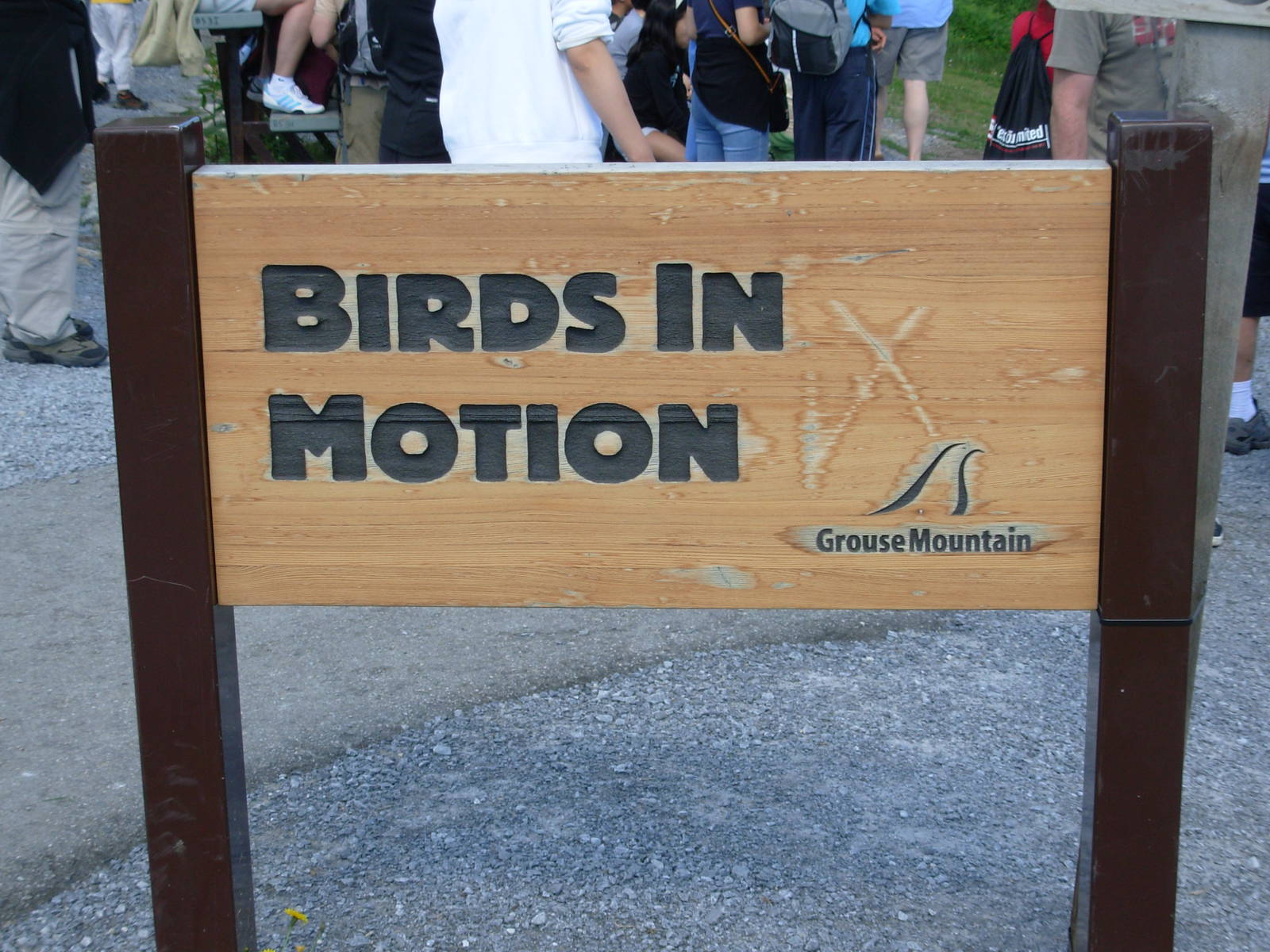 Raptor Show - Sign
