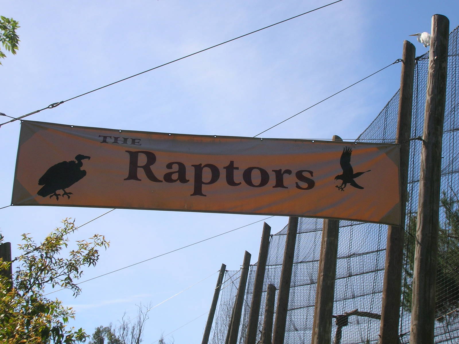 Raptor Sign 3-4-09