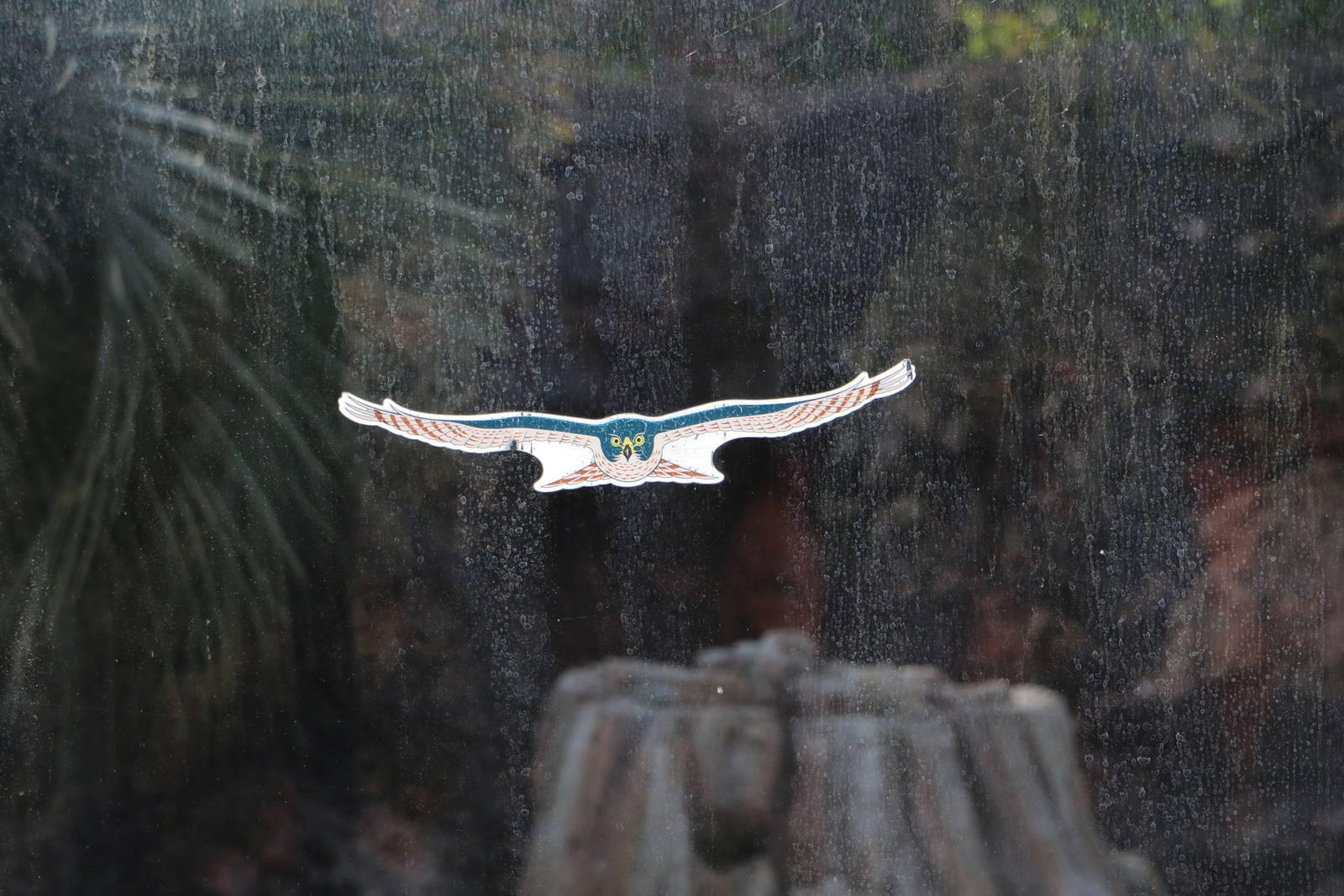 Raptor sticker, February 2016