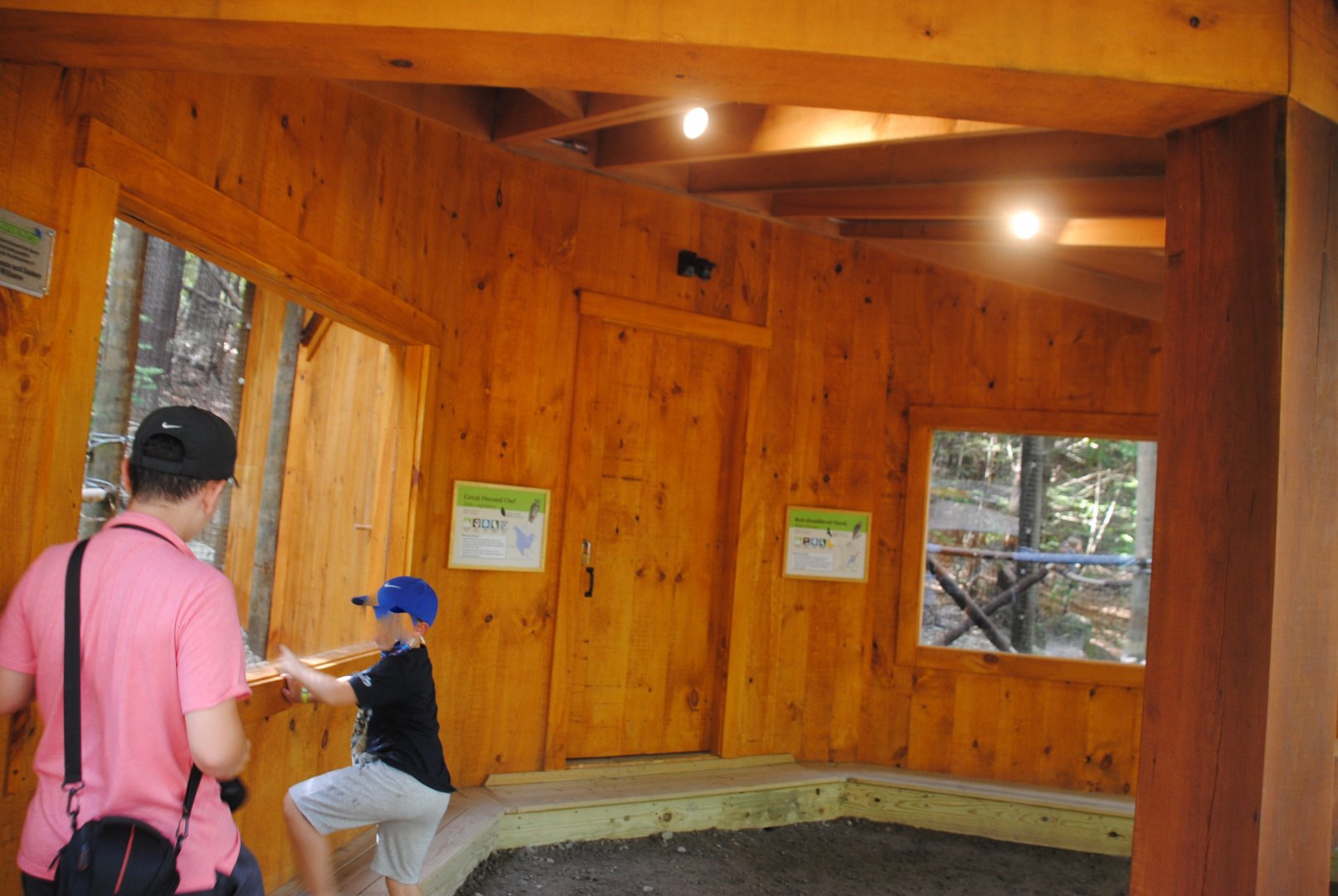 Raptor viewing shelter