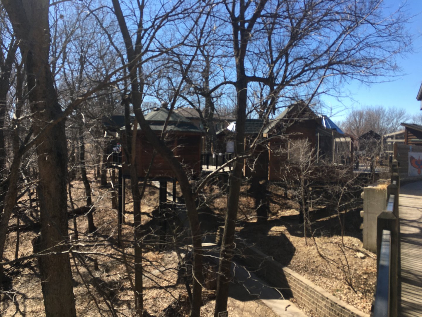 Raptor Woodland Refuge from Outside