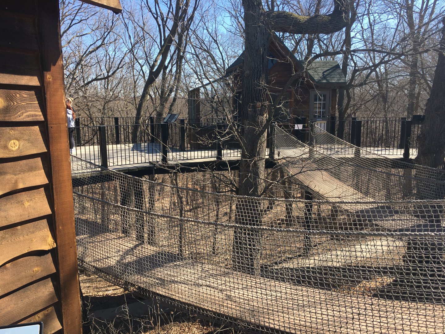 Raptor Woodland Refuge Rope Bridges